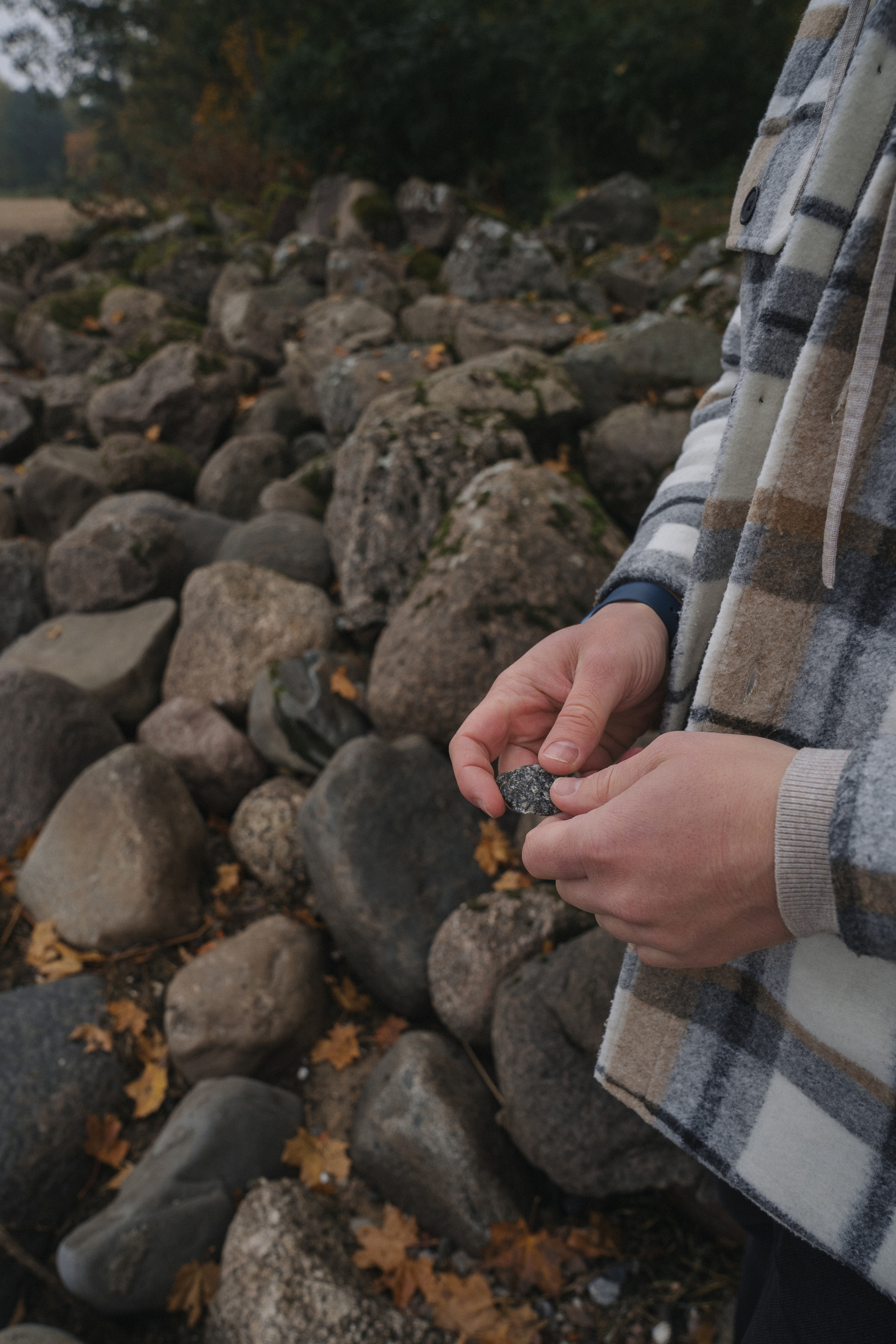 Алексей и Александра (Love Story). Свадебный и портретный фотограф Натали Суровцева