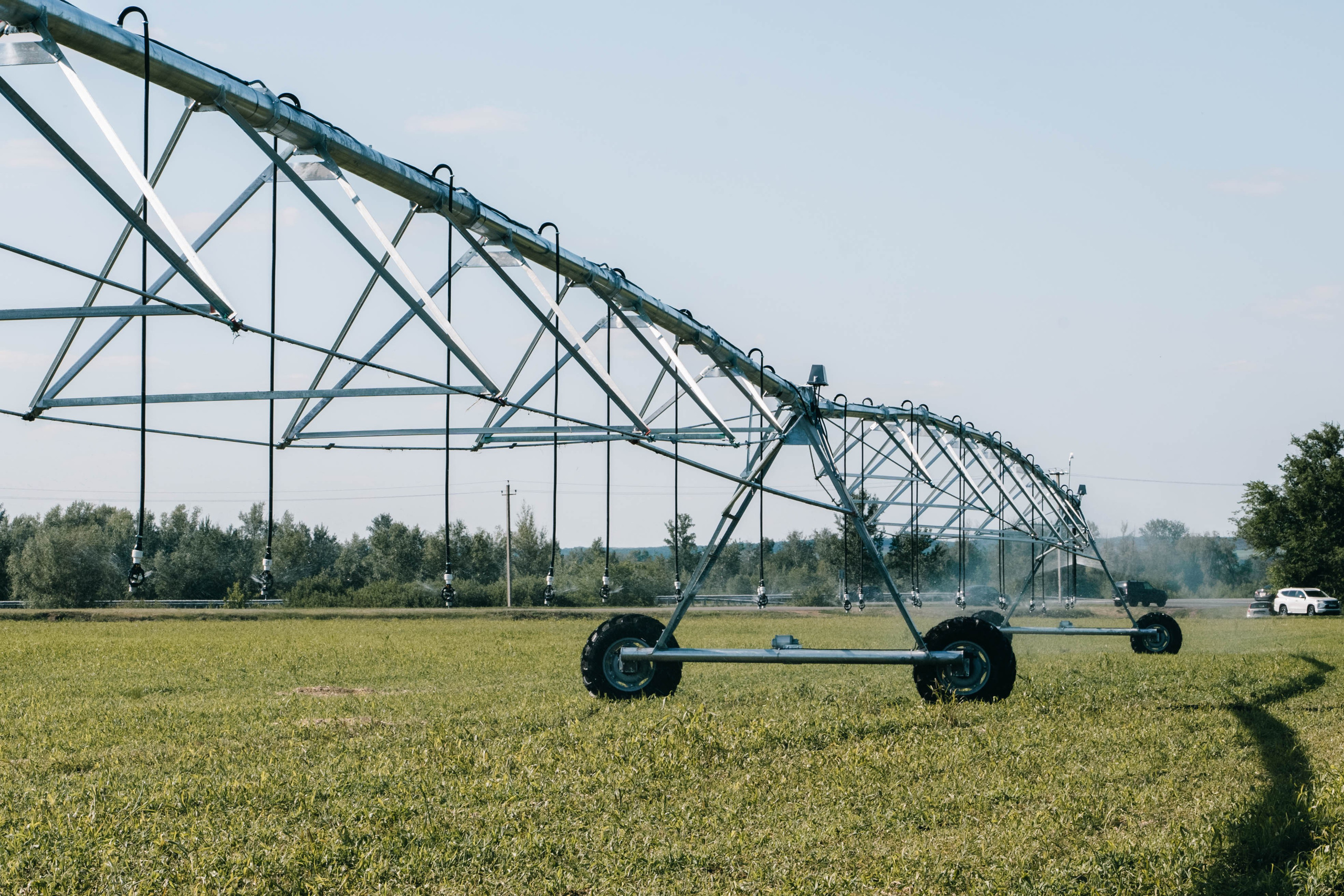 Фестиваль «Самарский день поля» в Угорье. Фотограф Сергей Логинов