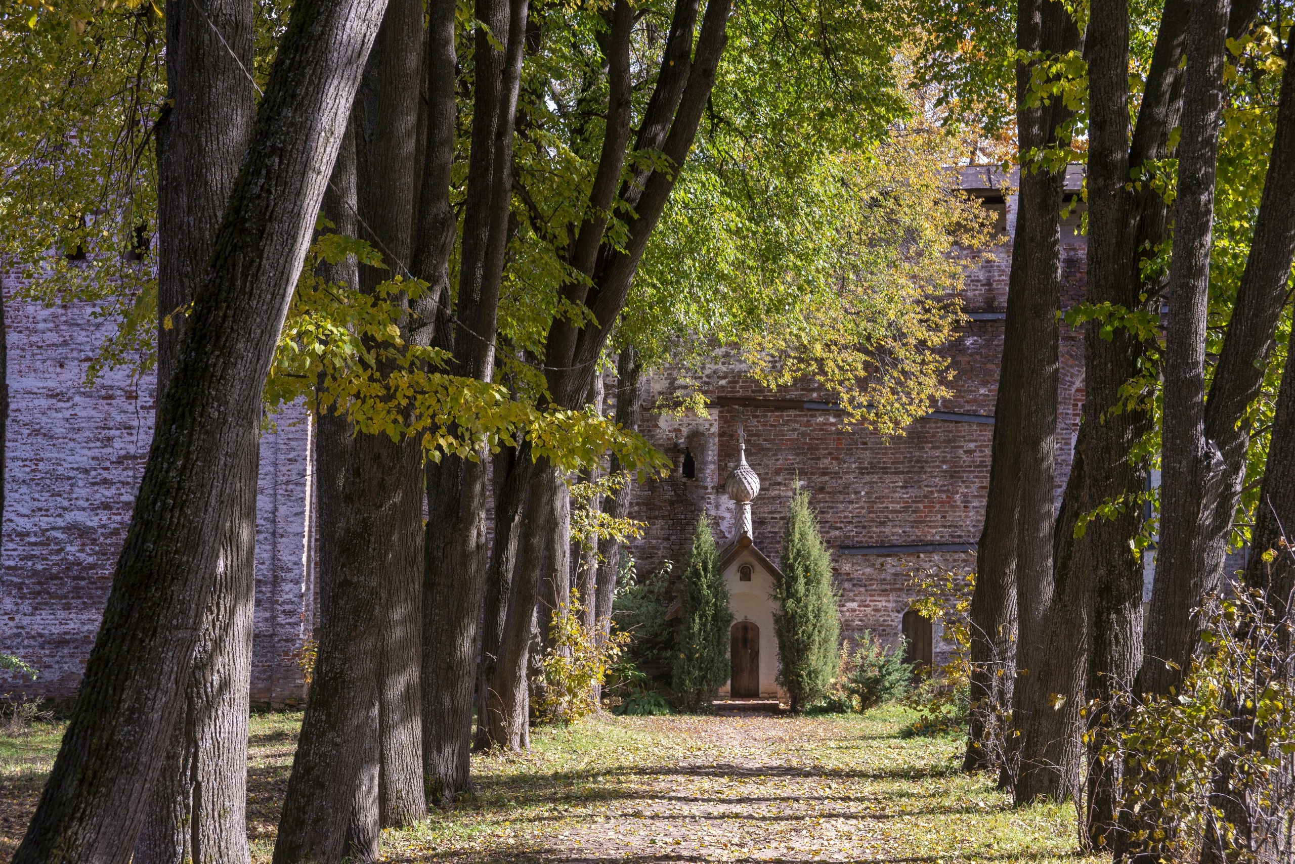 Борисоглебский. Октябрь 2024. Игорь Жучков. Россия увиденная глазами путешествующего фотографа