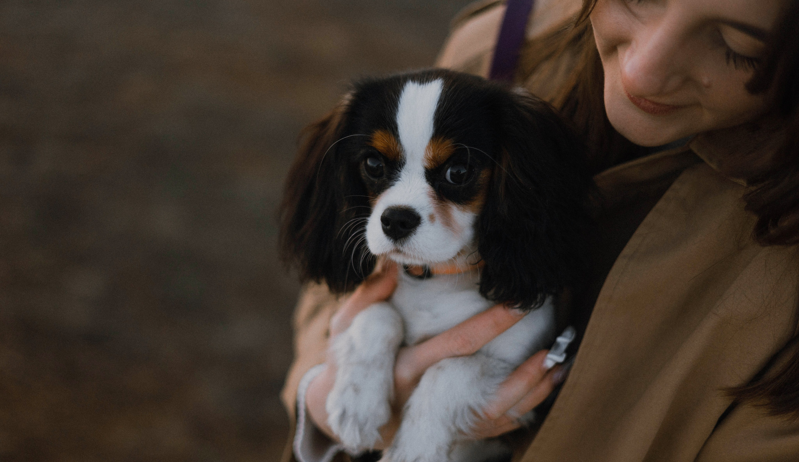 Ангелина и Йен. Фотограф-анималист Богданова Полина