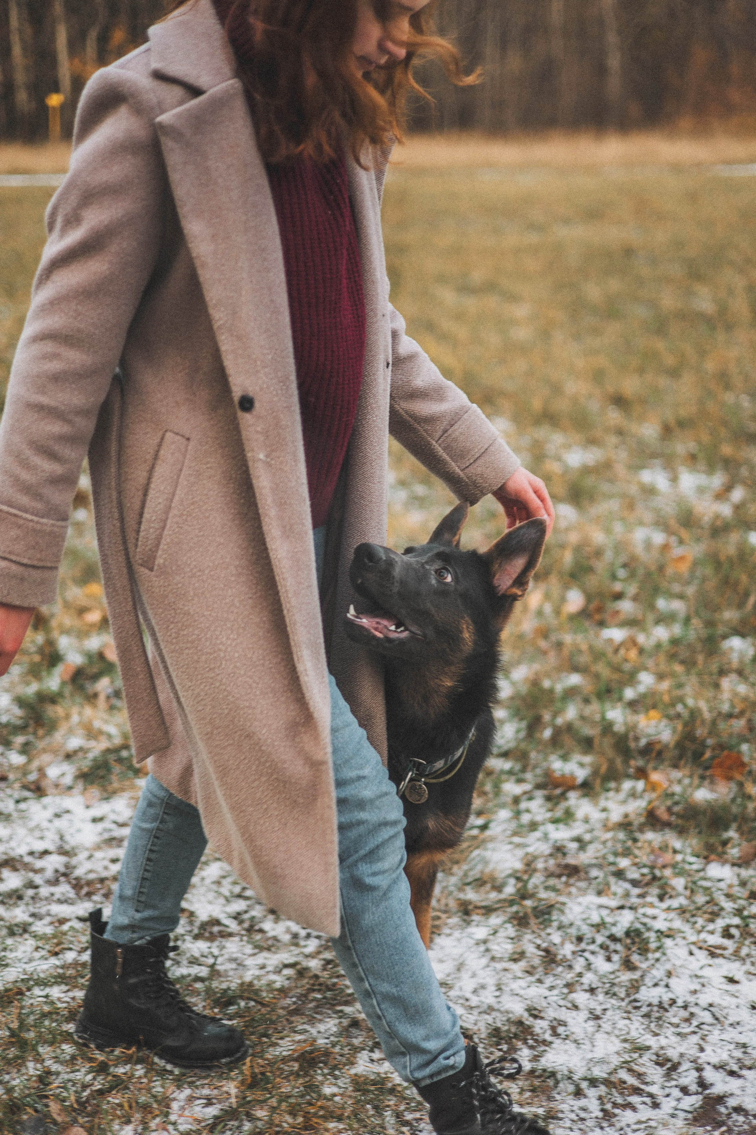 Алена, Леви и Микаса. Фотограф-анималист Богданова Полина