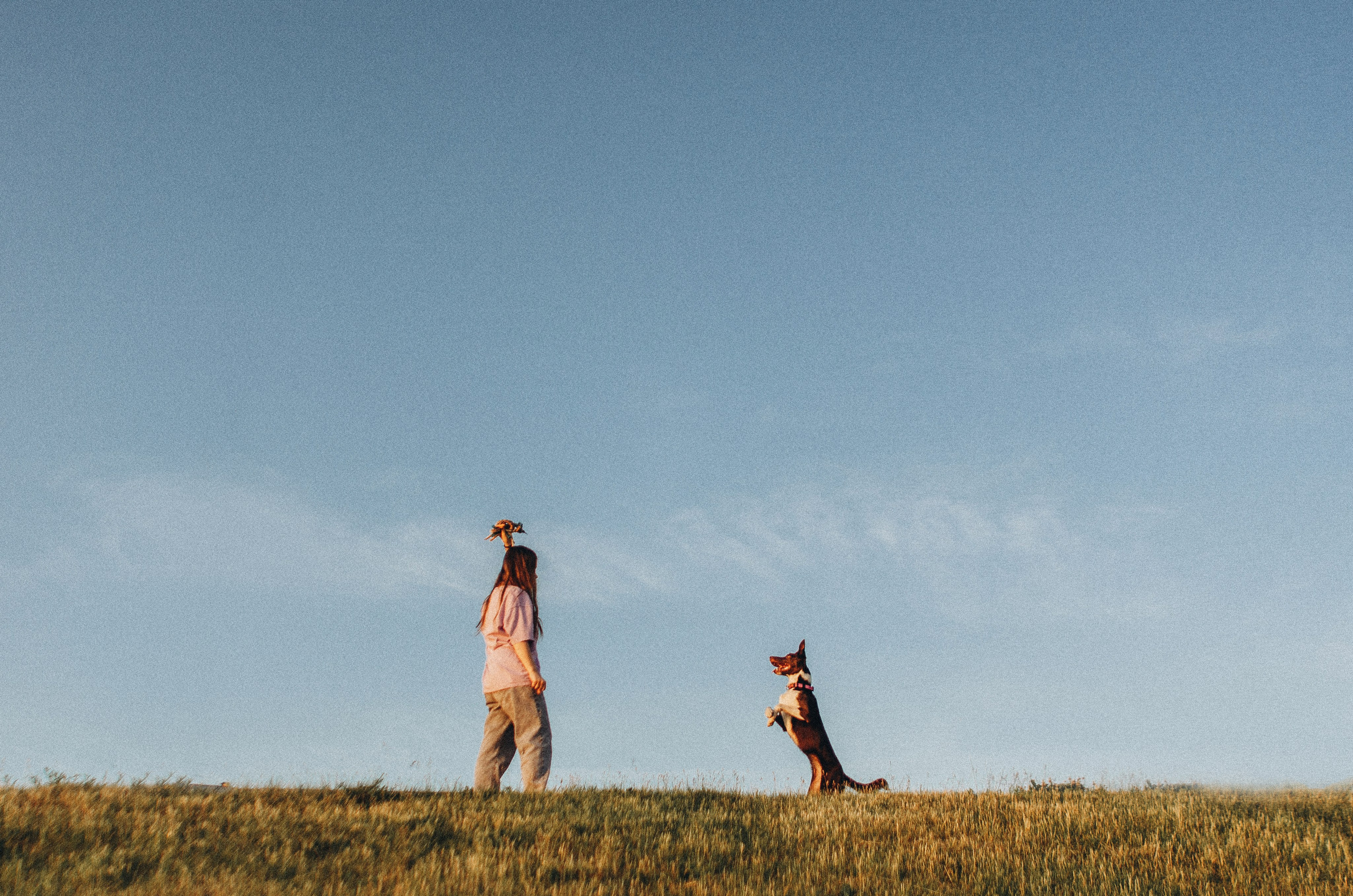 Вика и Эсса. Фотограф-анималист Богданова Полина