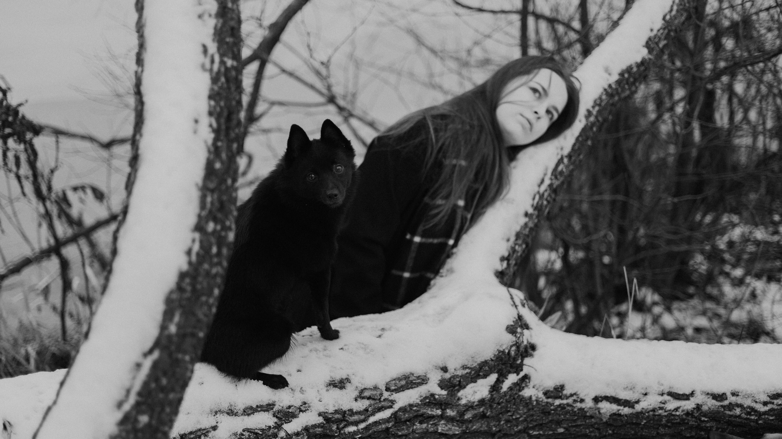 Юля, Лара и Йоми. Фотограф-анималист Богданова Полина