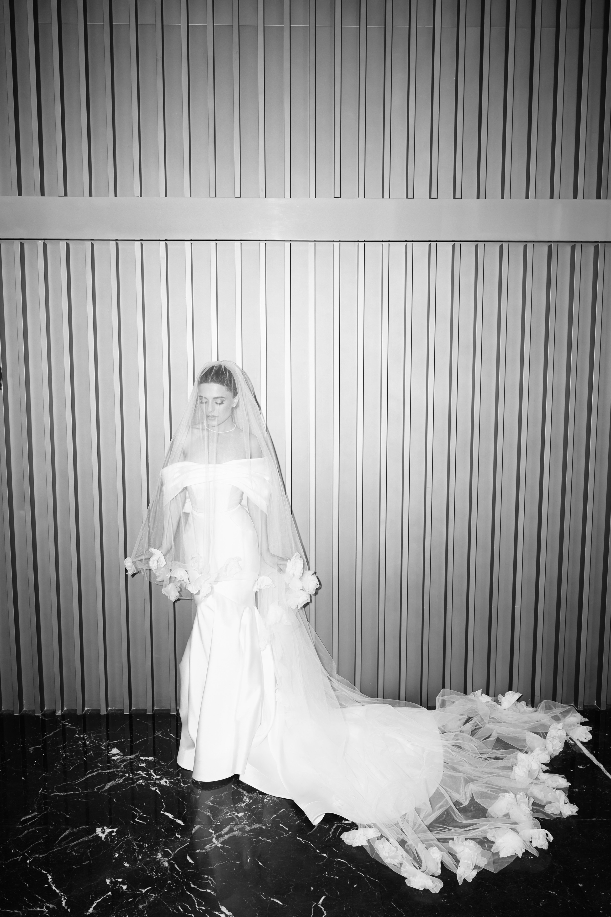 Wedding D&T. Свадебный фотограф