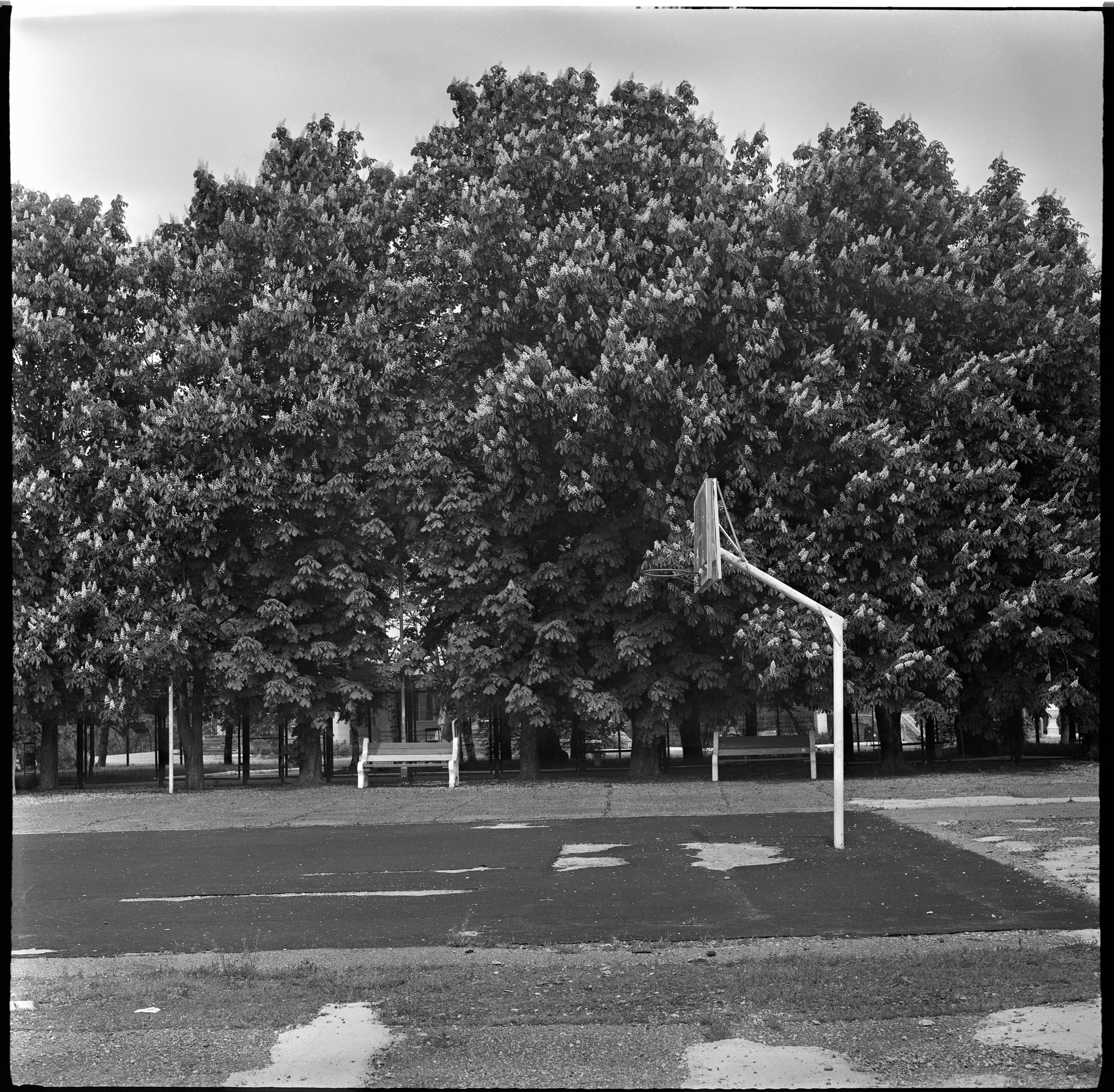 Ilford XP2 Plus-monochrome. Пленочный фотограф на КМВ Мирнов Игорь