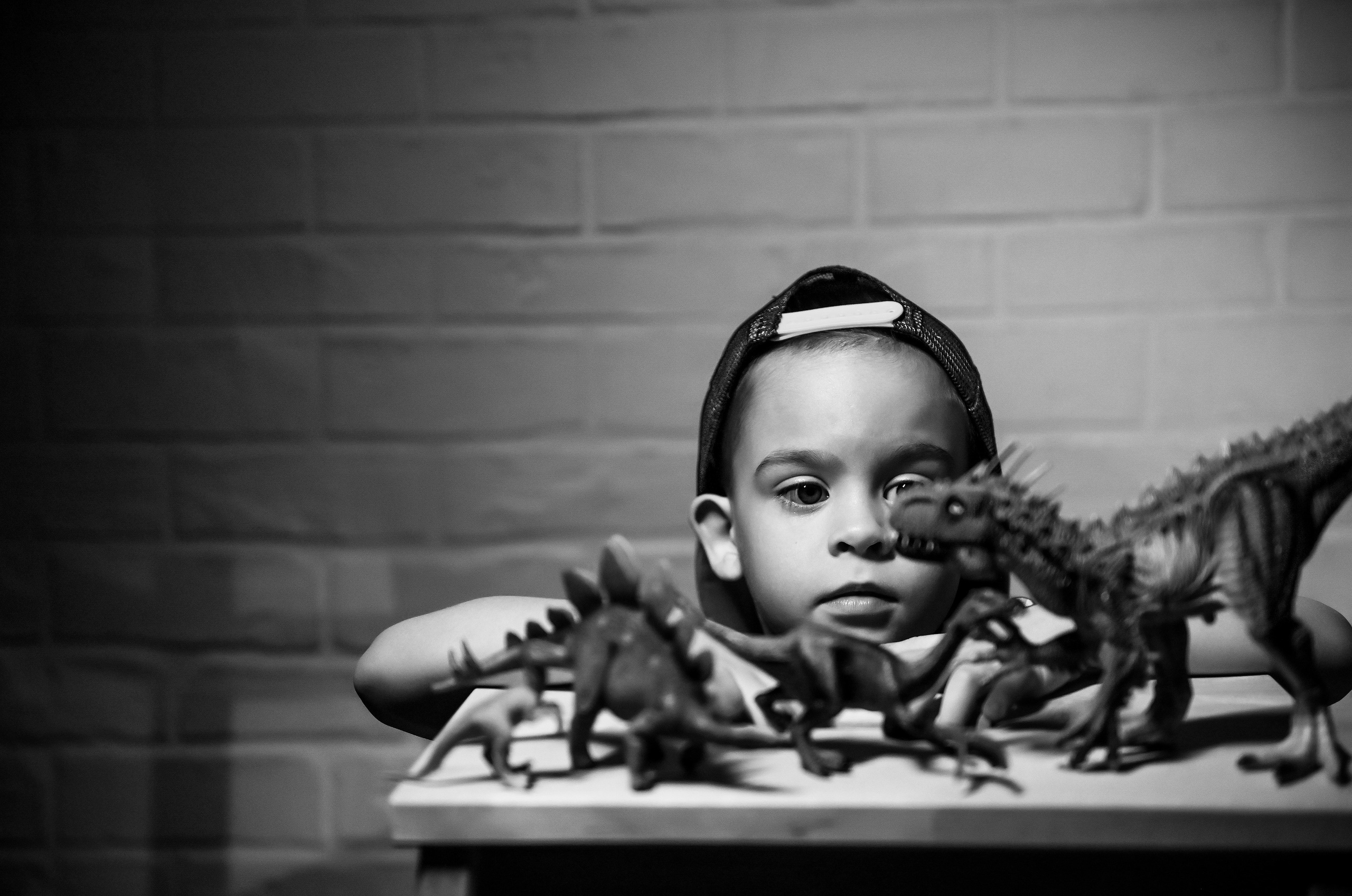 Детская с Динозаврами на 5 лет. Свадебный, семейный, детский, контент фотограф в Омске Максим Ильин