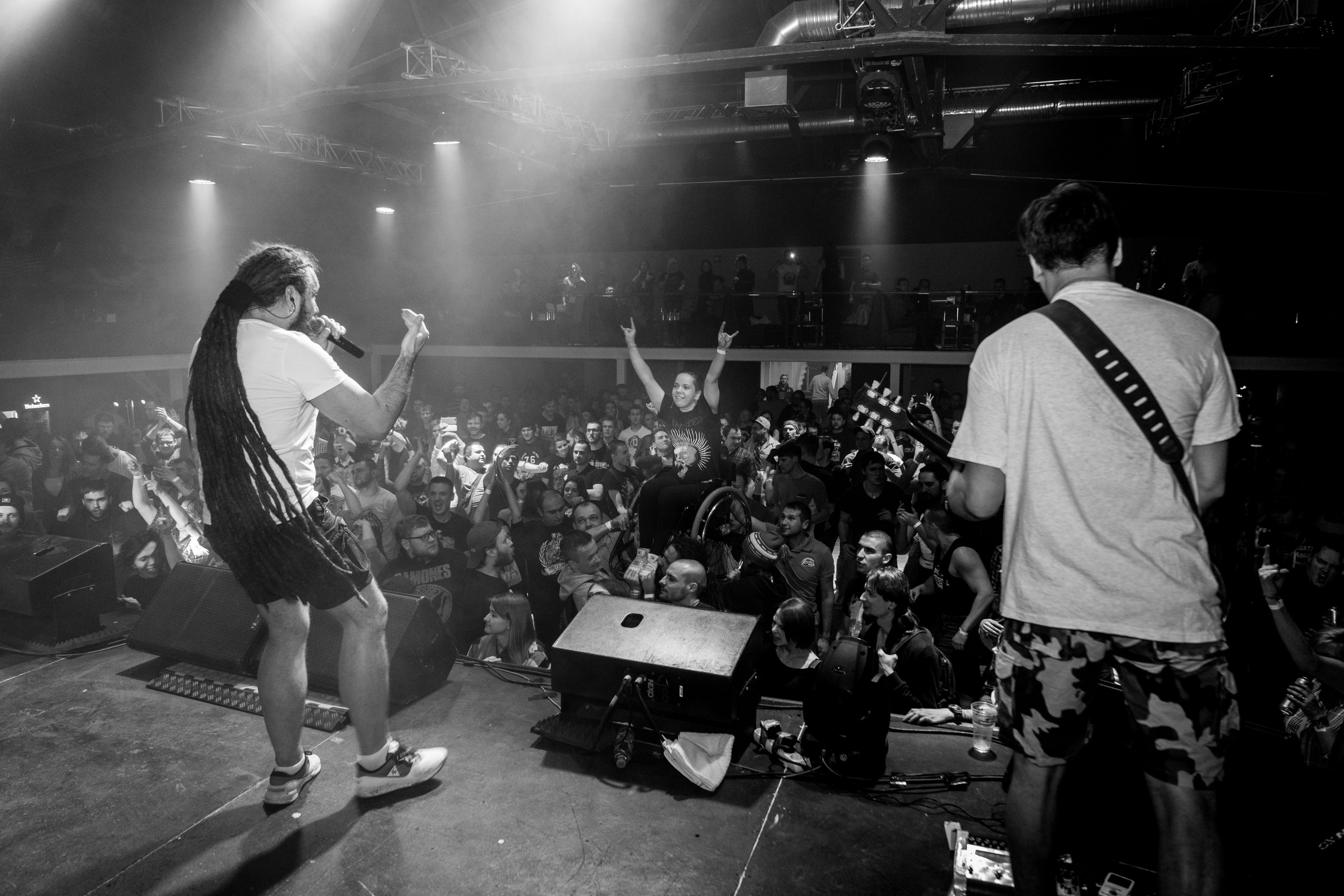 Distamper. Твой фотограф — Полосатый кот