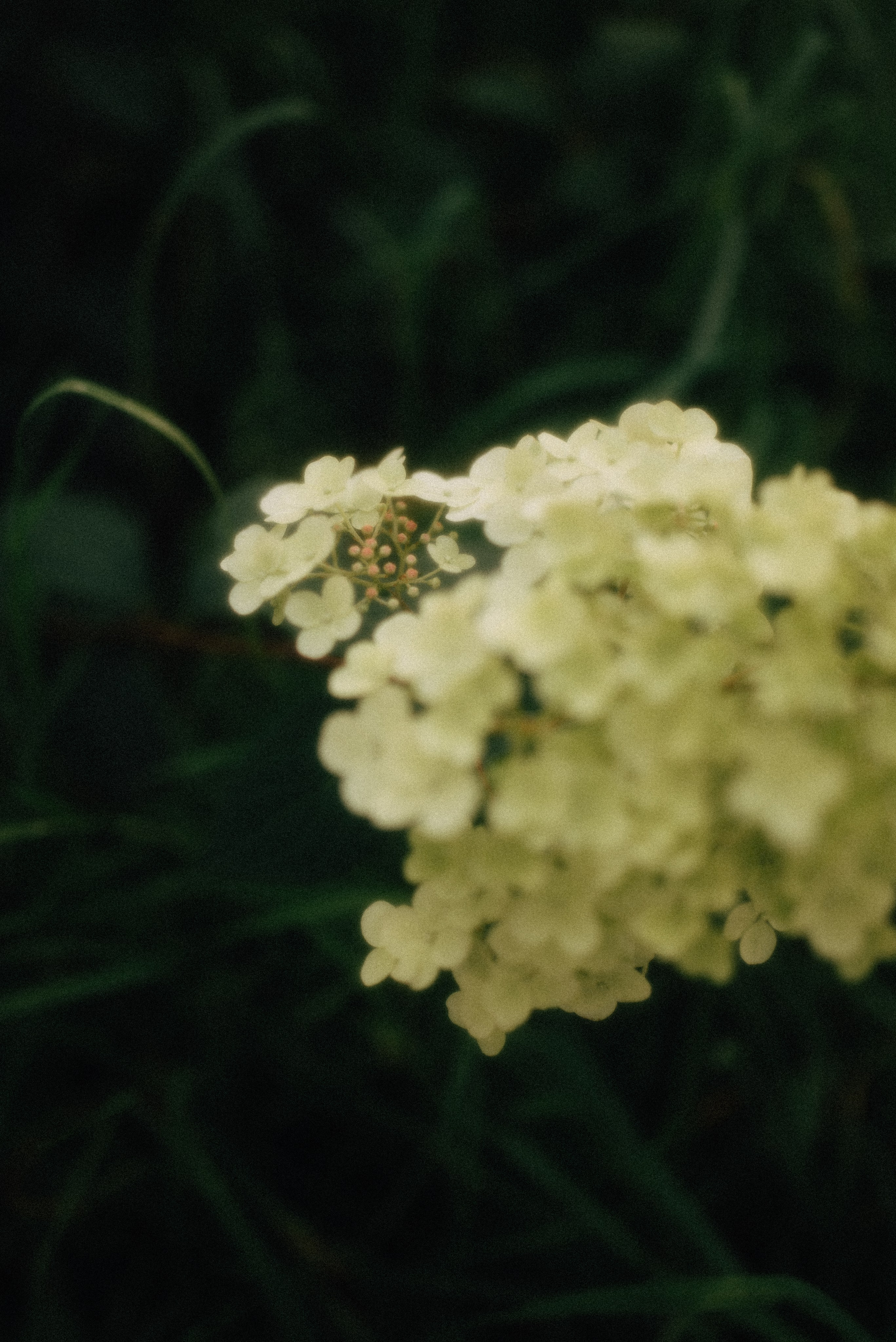 Евгений и Виолетта | Полный свадебный день. Москва. Фотограф Санкт-Петербург, Новороссийск
