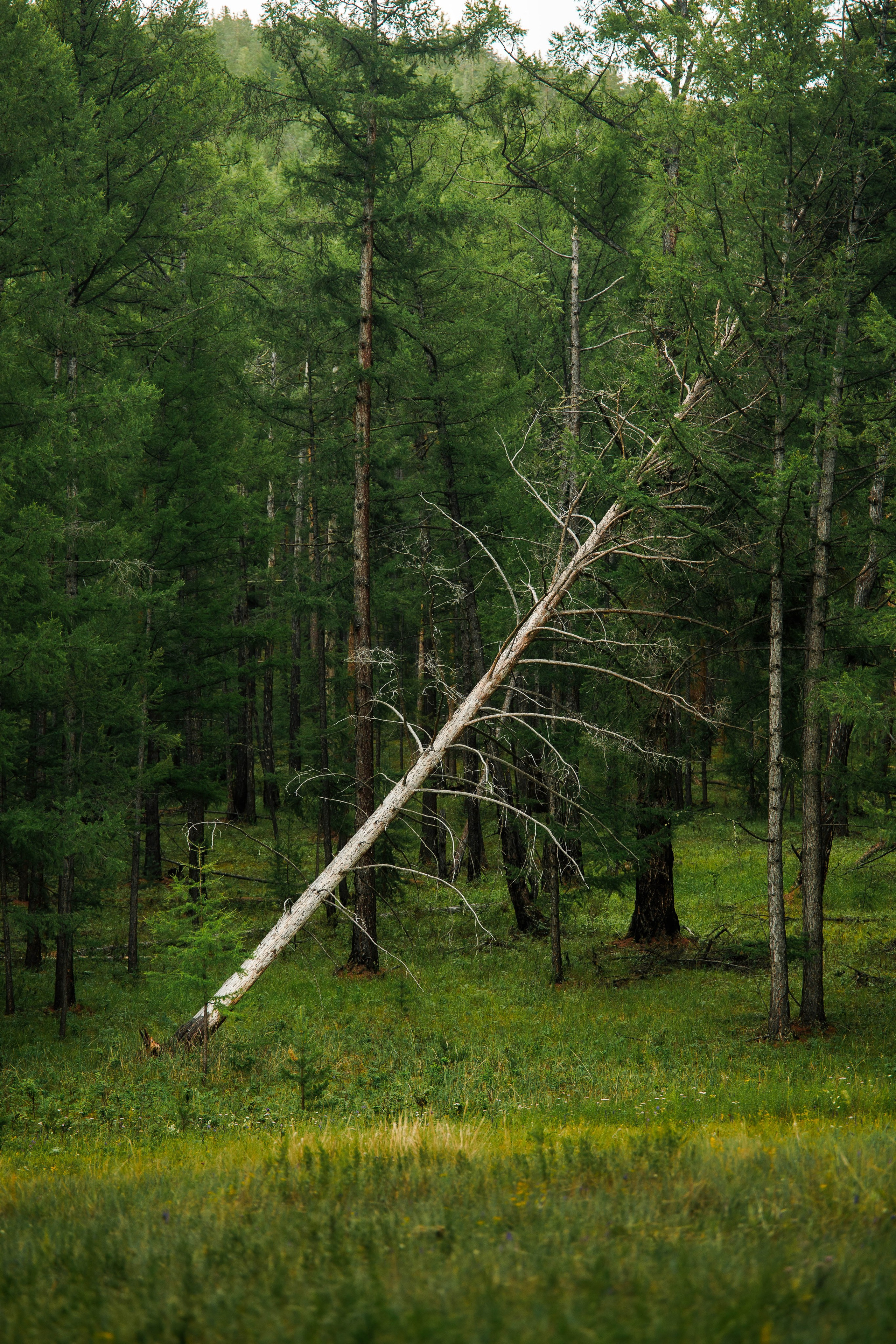 Летний Байкал