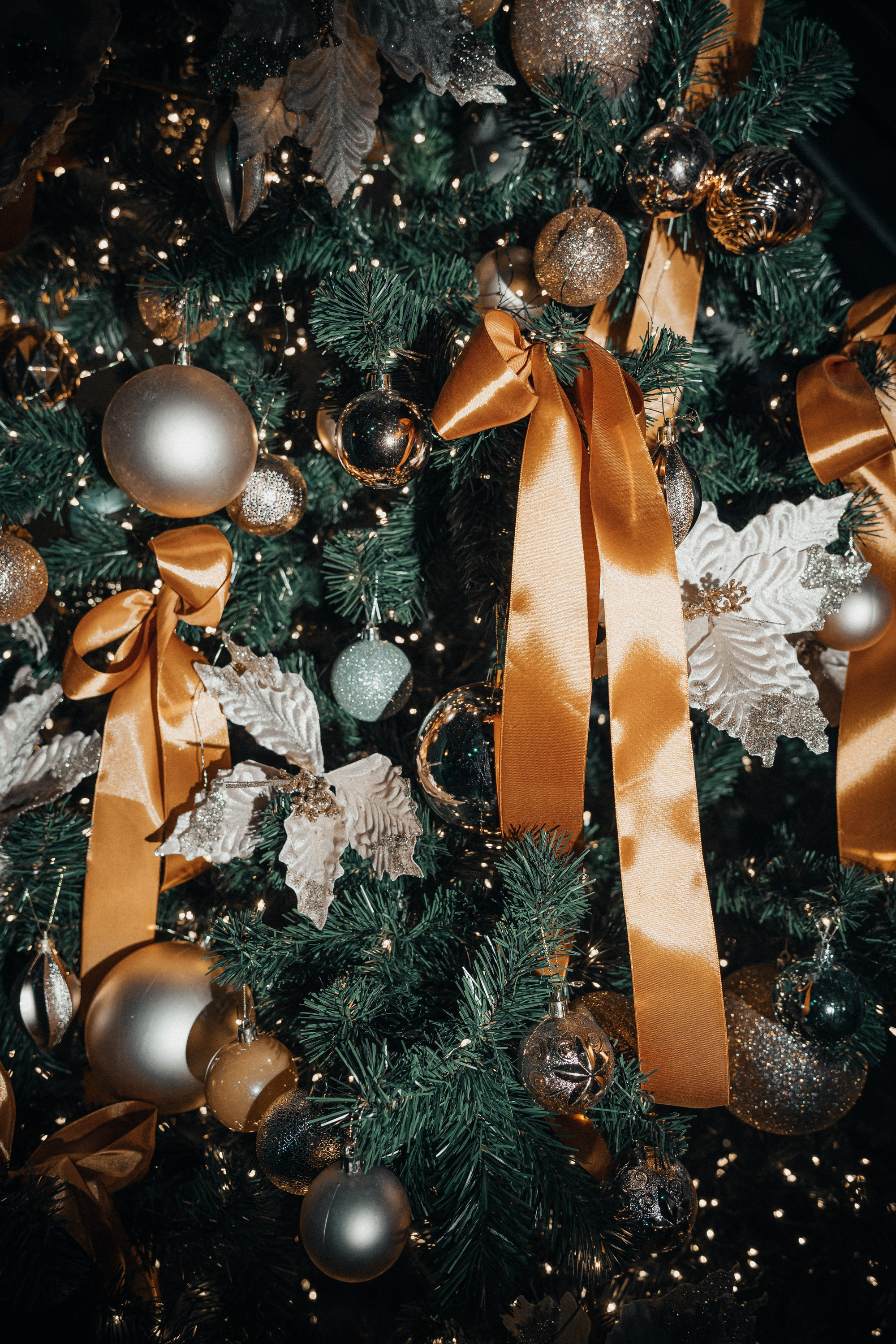 Новый Год. Христолюбов Евгений Фотограф Москва