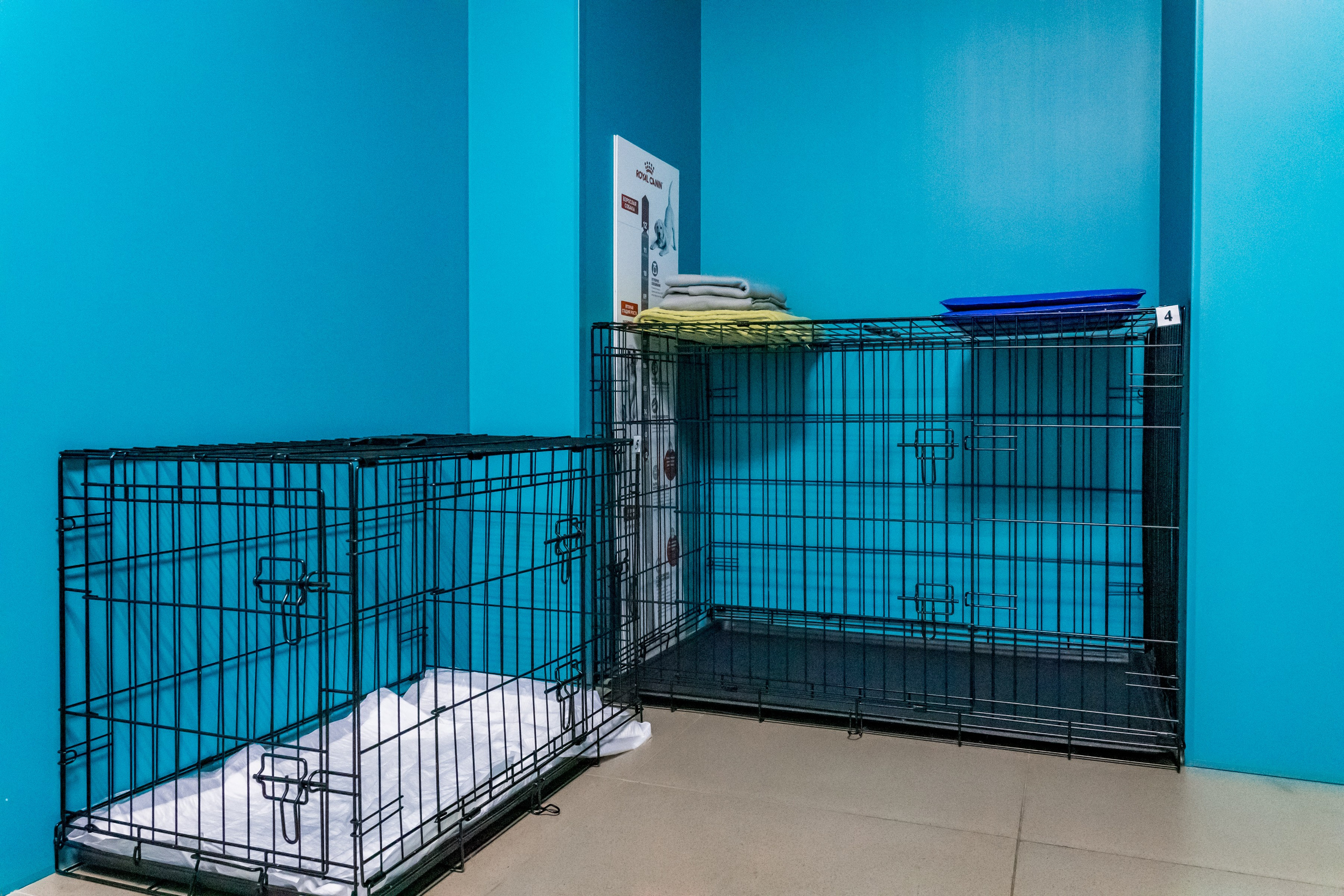 Интерьерная съемка для ветеринарной клиники Прив-вет. Интерьеры, Контент, Портреты | Фотограф в Москве Дани Терно