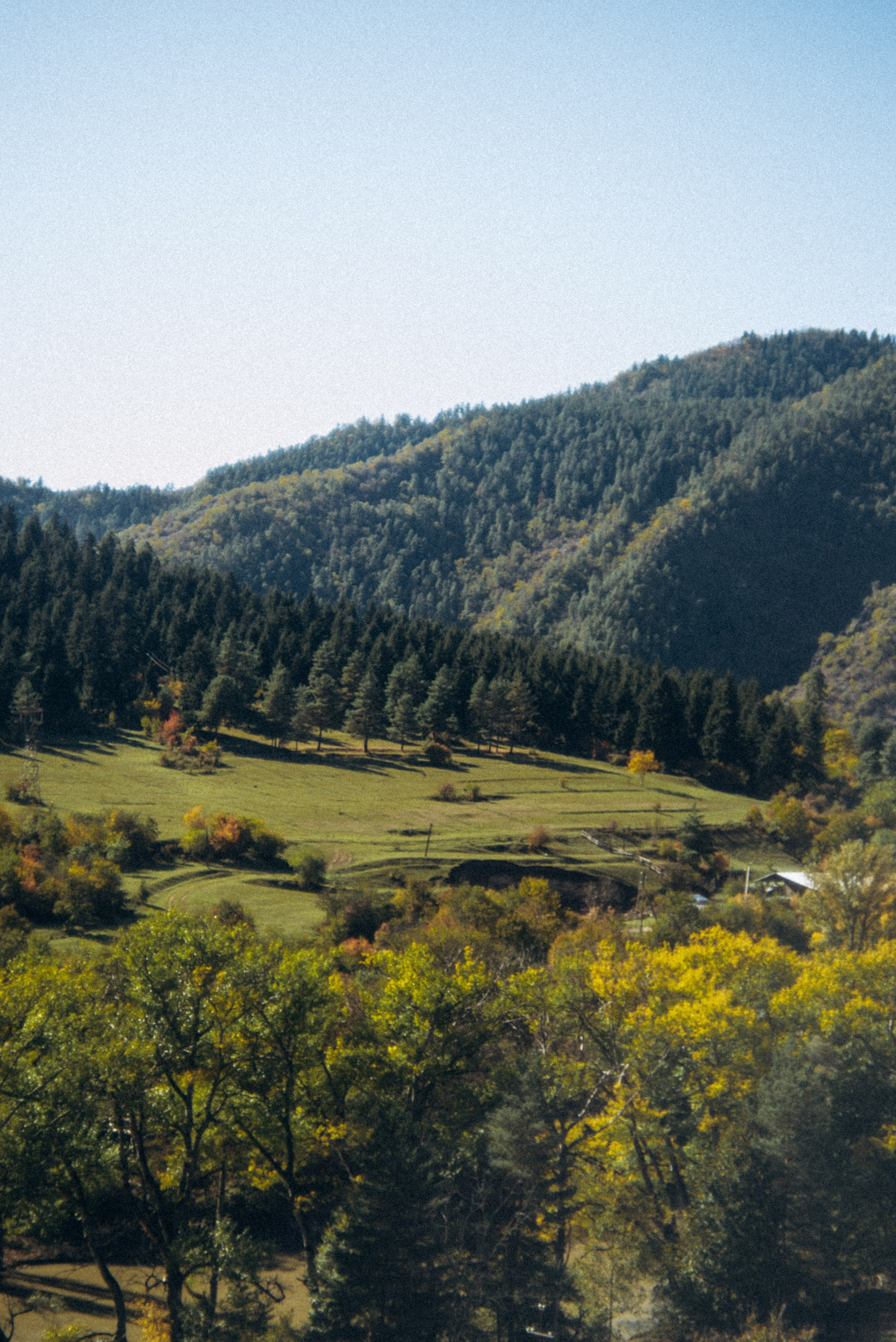 Боржоми, Грузия 🇬🇪. Anita_photo
