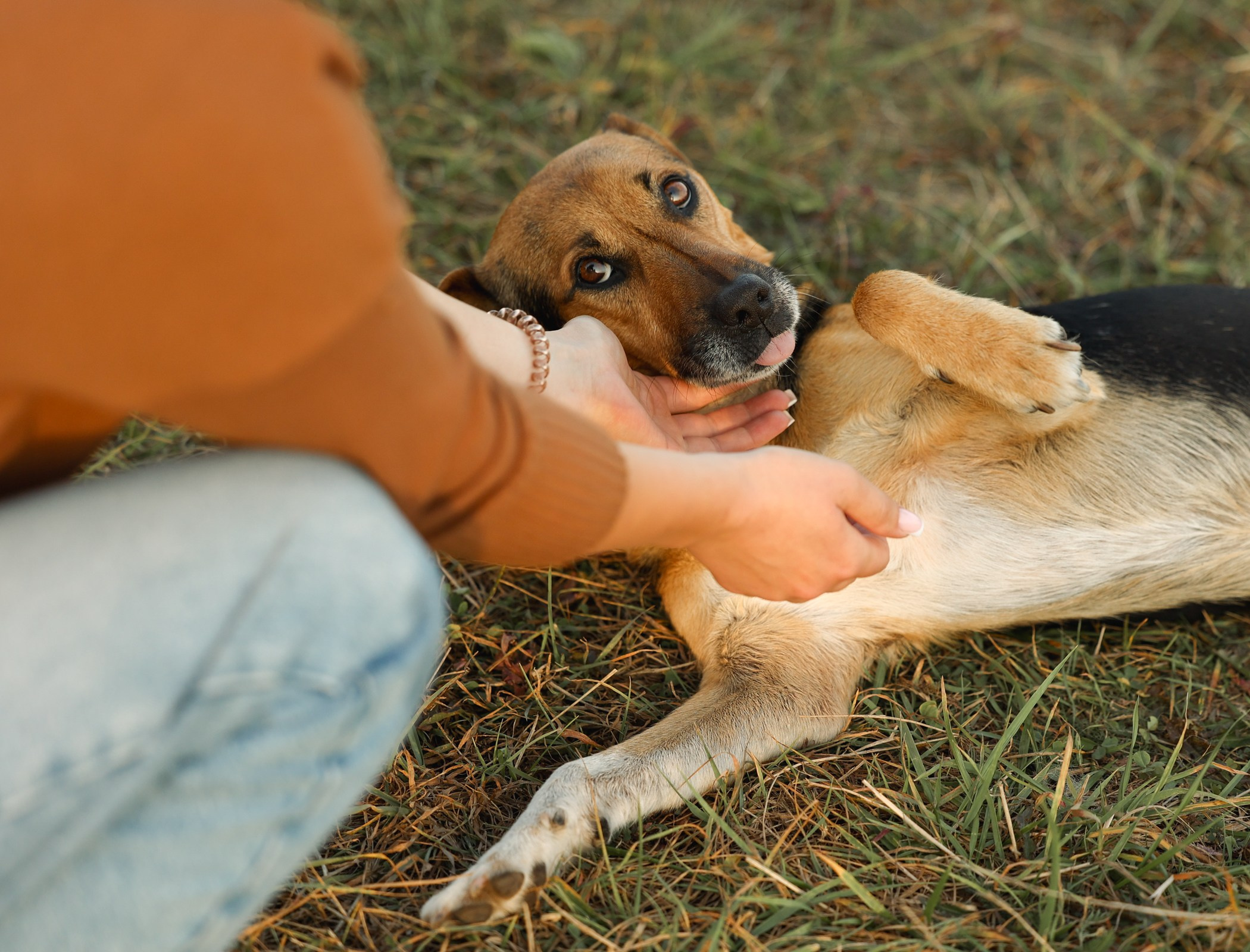 Прогулка на природе. Фотограф-анималист Полина Колкова | Москва