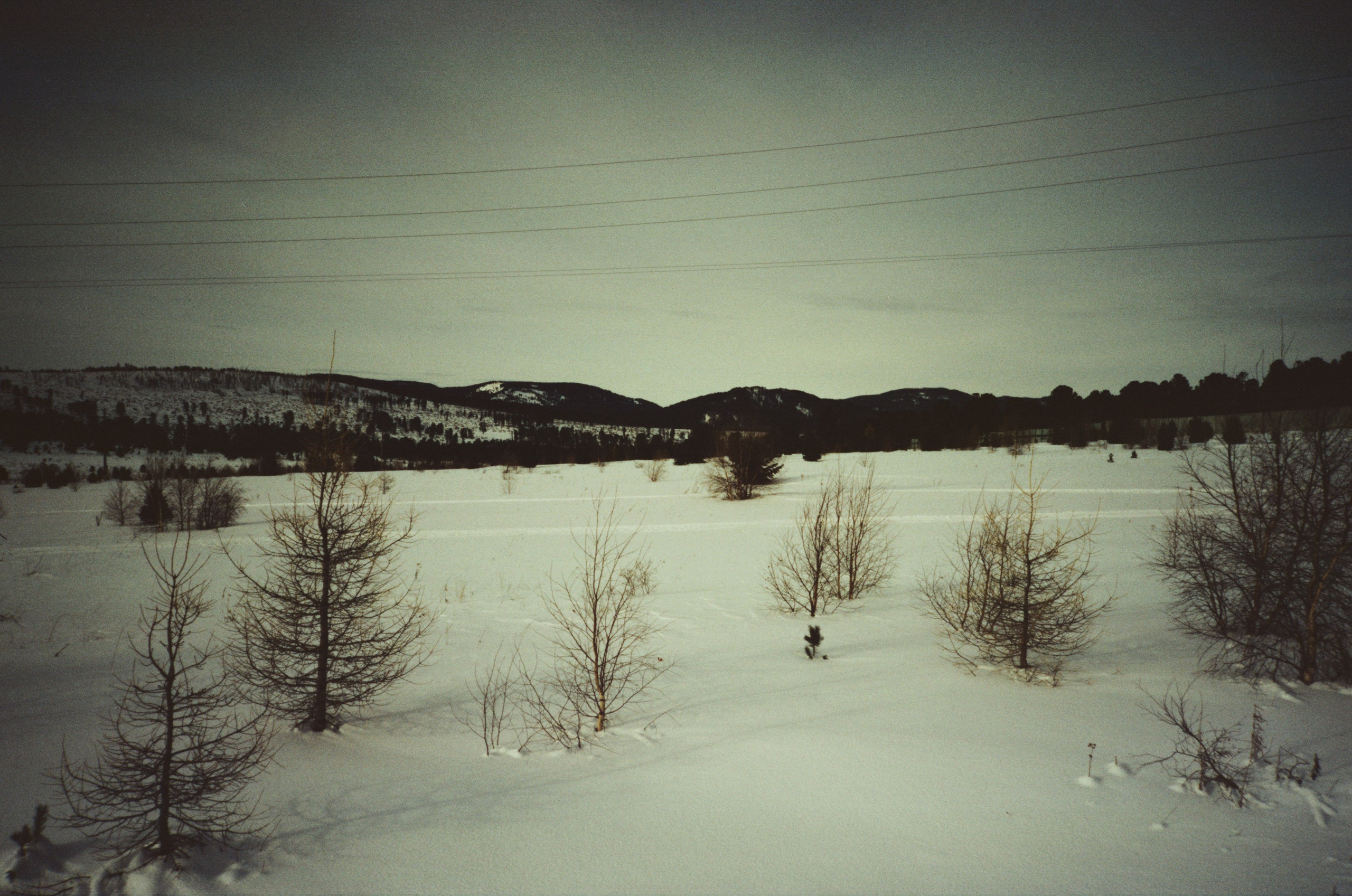 Дорога в верхах Алтая и Семинский перевал. Фотограф-документалист Мария Осокина