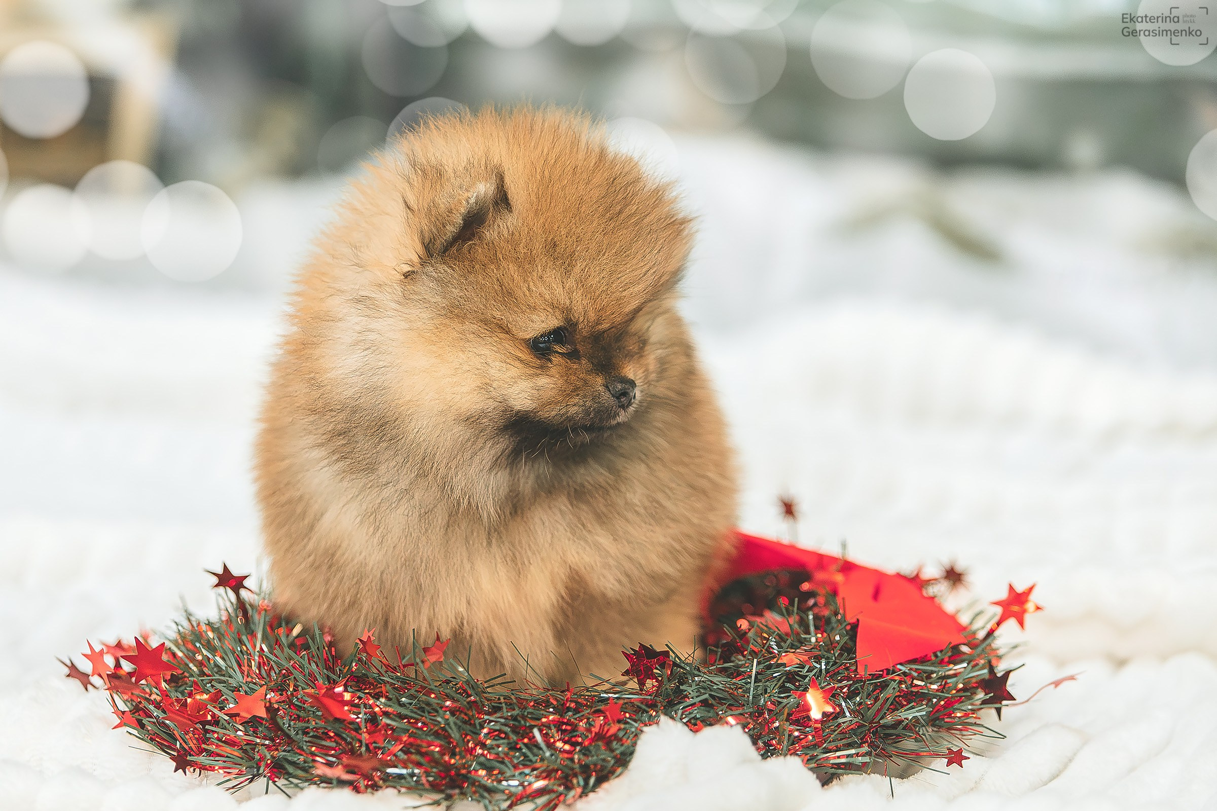 Фотодень. Htykk_photo