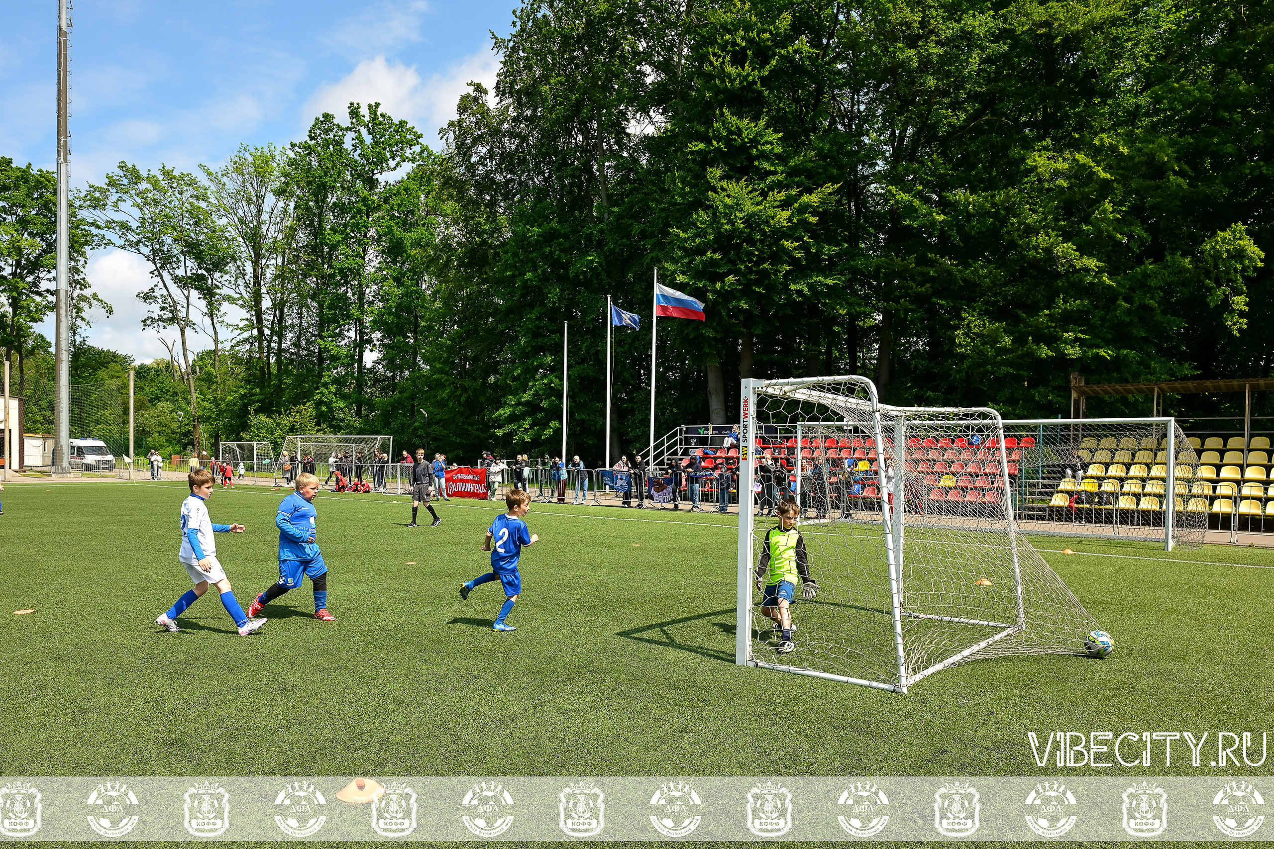 Большие Звезды светят Малым. VIBECITY.RU Вайб Сити Ру Фоторепортажи Фотоотчеты Калининград