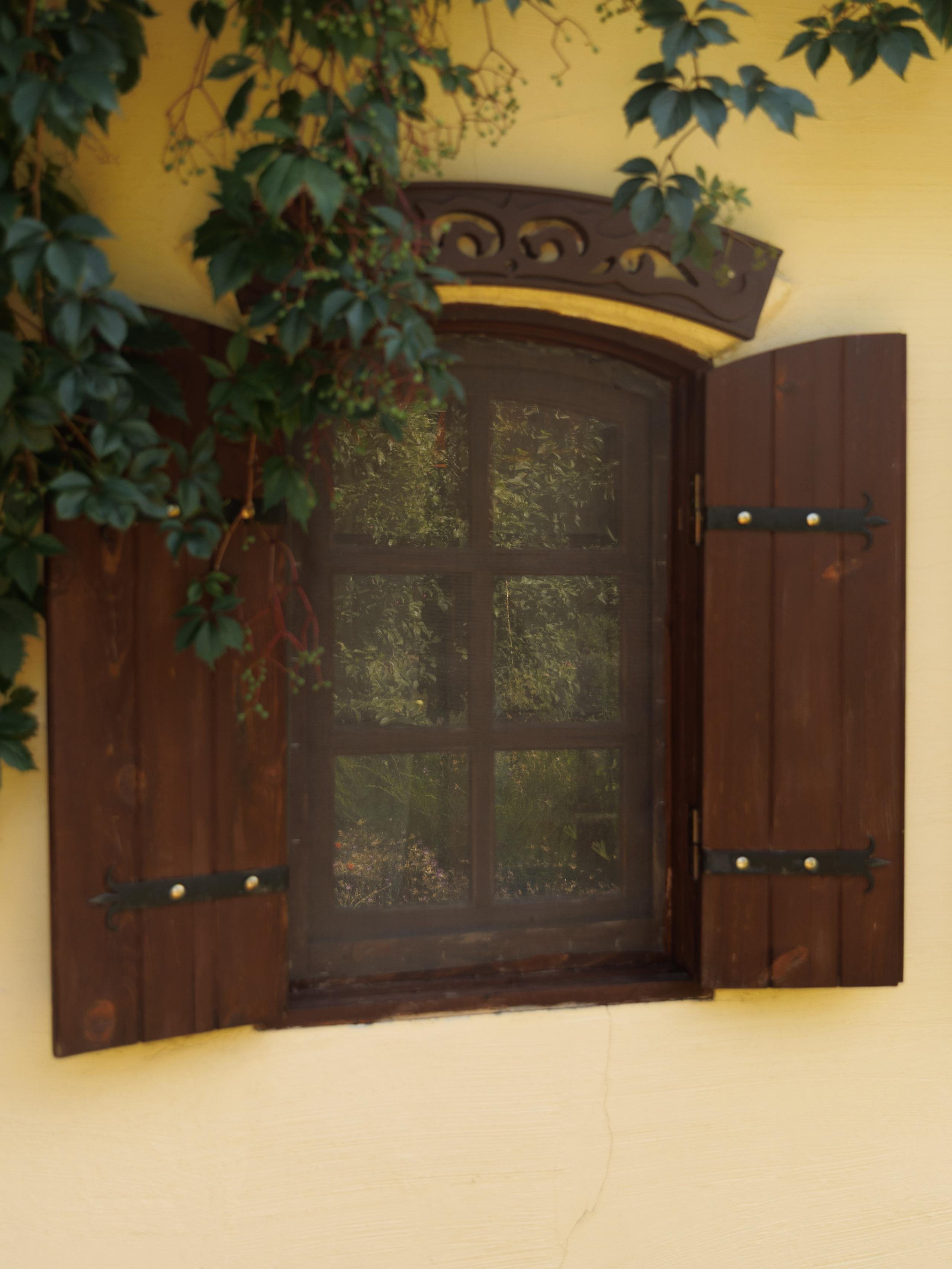 Артем и Анастасия. Фотограф