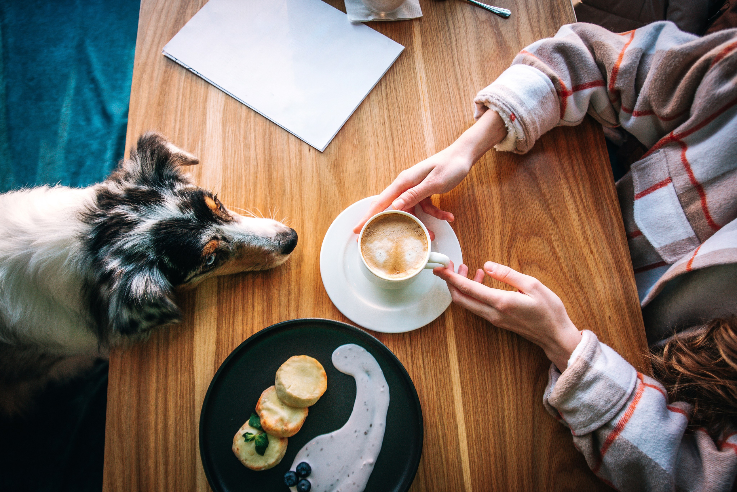 Лиза и Харли в кафе. Главная