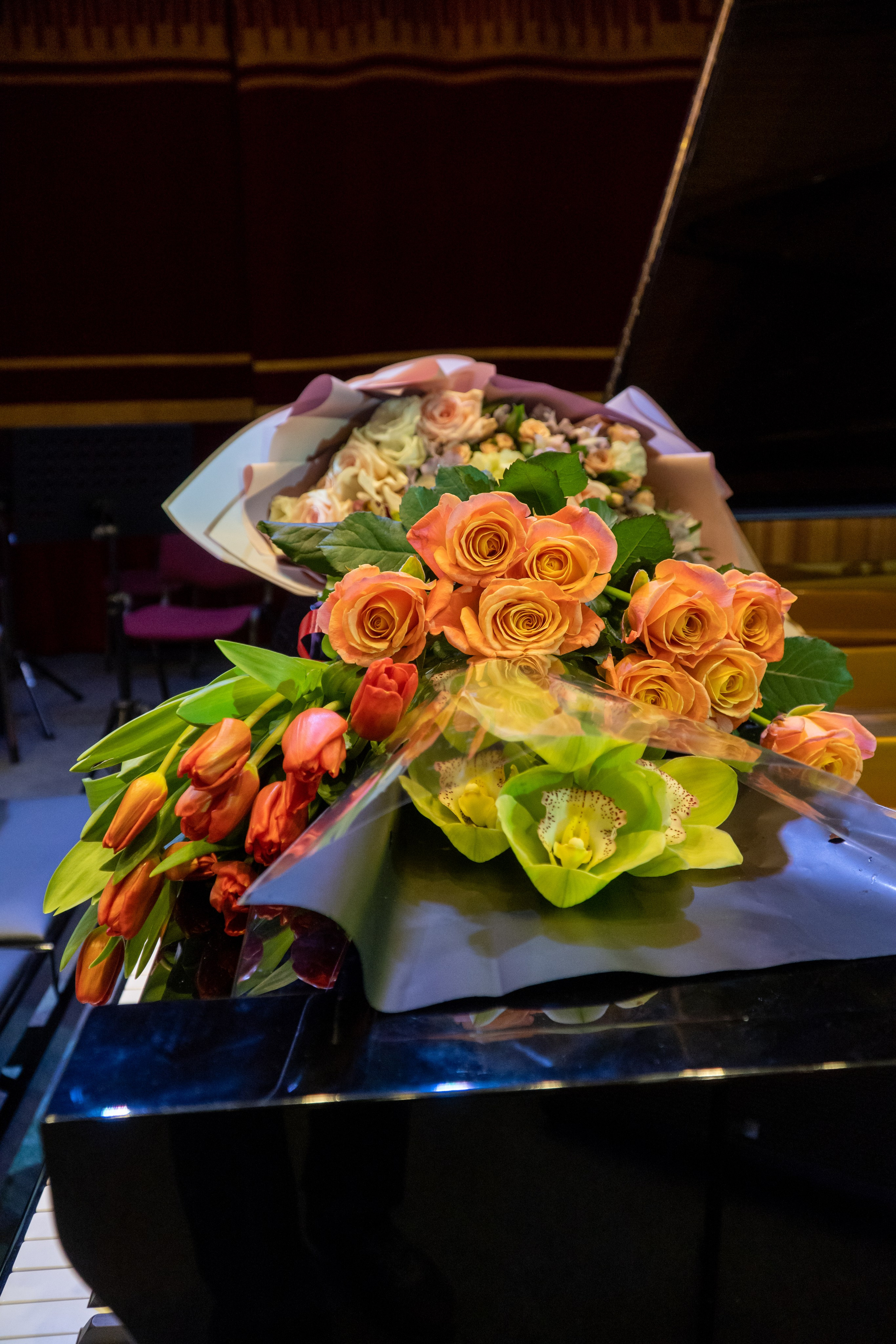 Съёмка концерта Домисольки с оркестром. «Студия DRONAVT`s» — видеосъёмка и фотография г. Москва