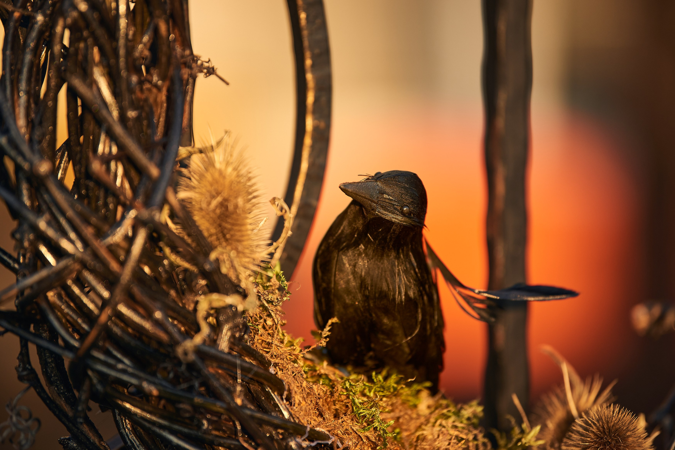 Фотосъемка декора и оформления мероприятий
