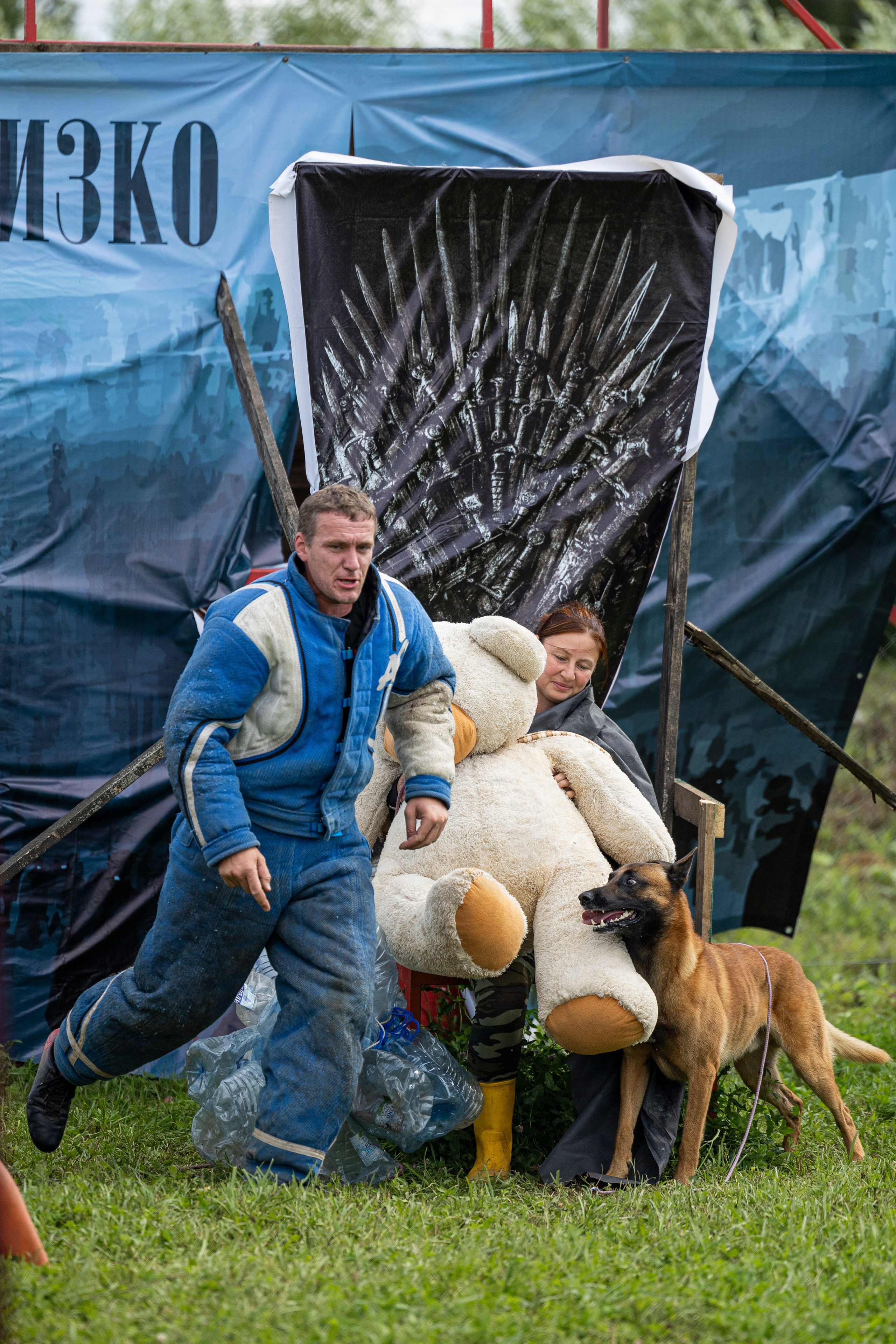 Соревнования по Мондьорингу г. Вологда 10-11.08.2024. Фотограф-анималист Анна Маринич