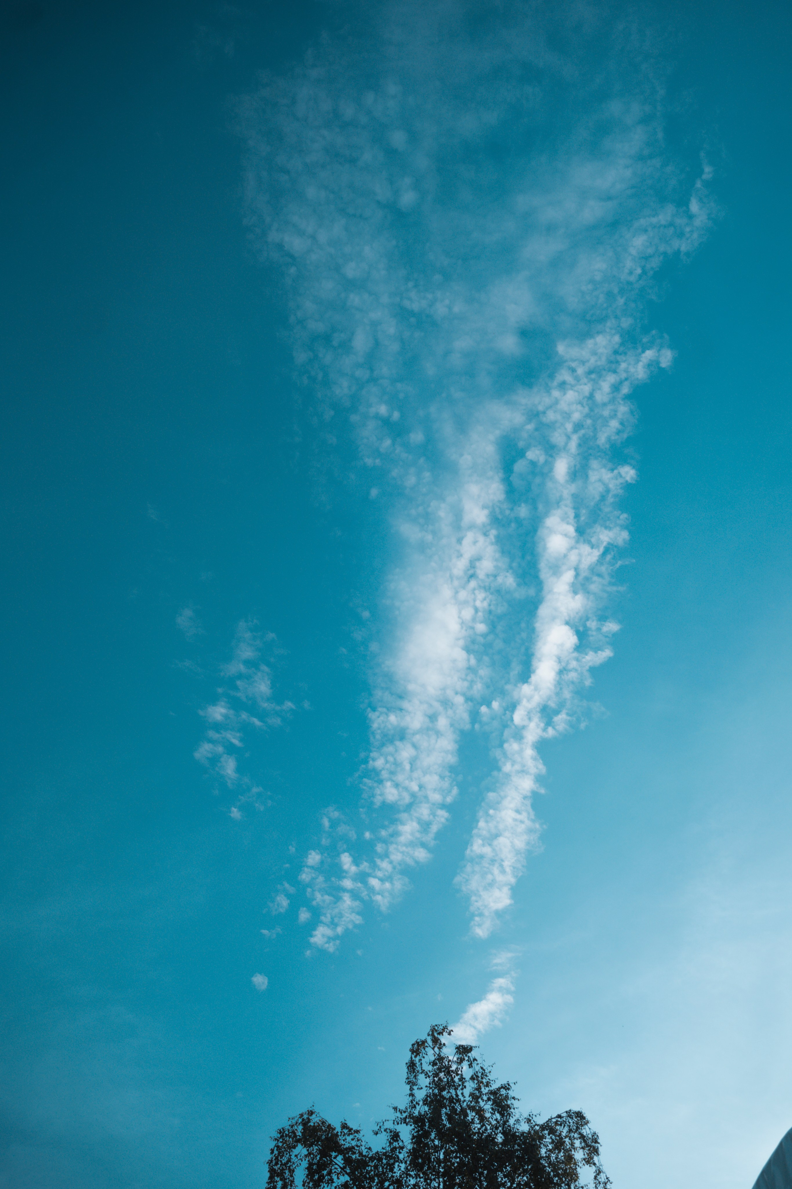 Форум «единая платформа продавцов инструментов и оборудования». Свадебный фотограф в Москве Кристина Чехова