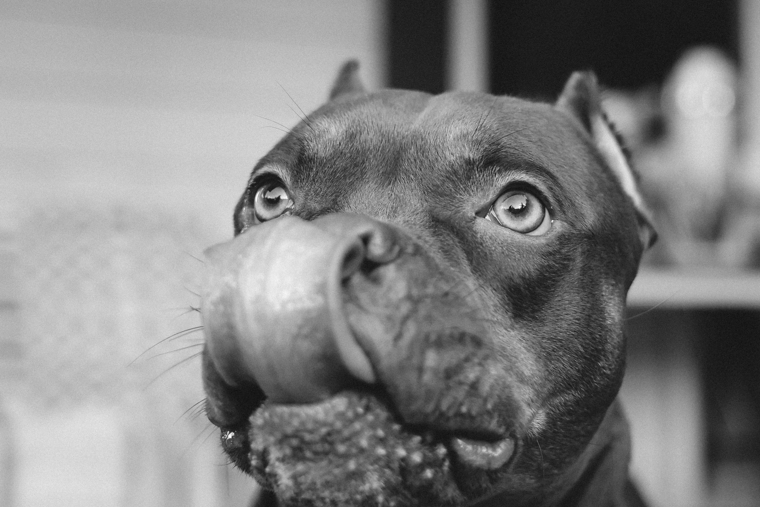 Амина. Валерия Гуртовая | Фотограф, Санкт-Петербург