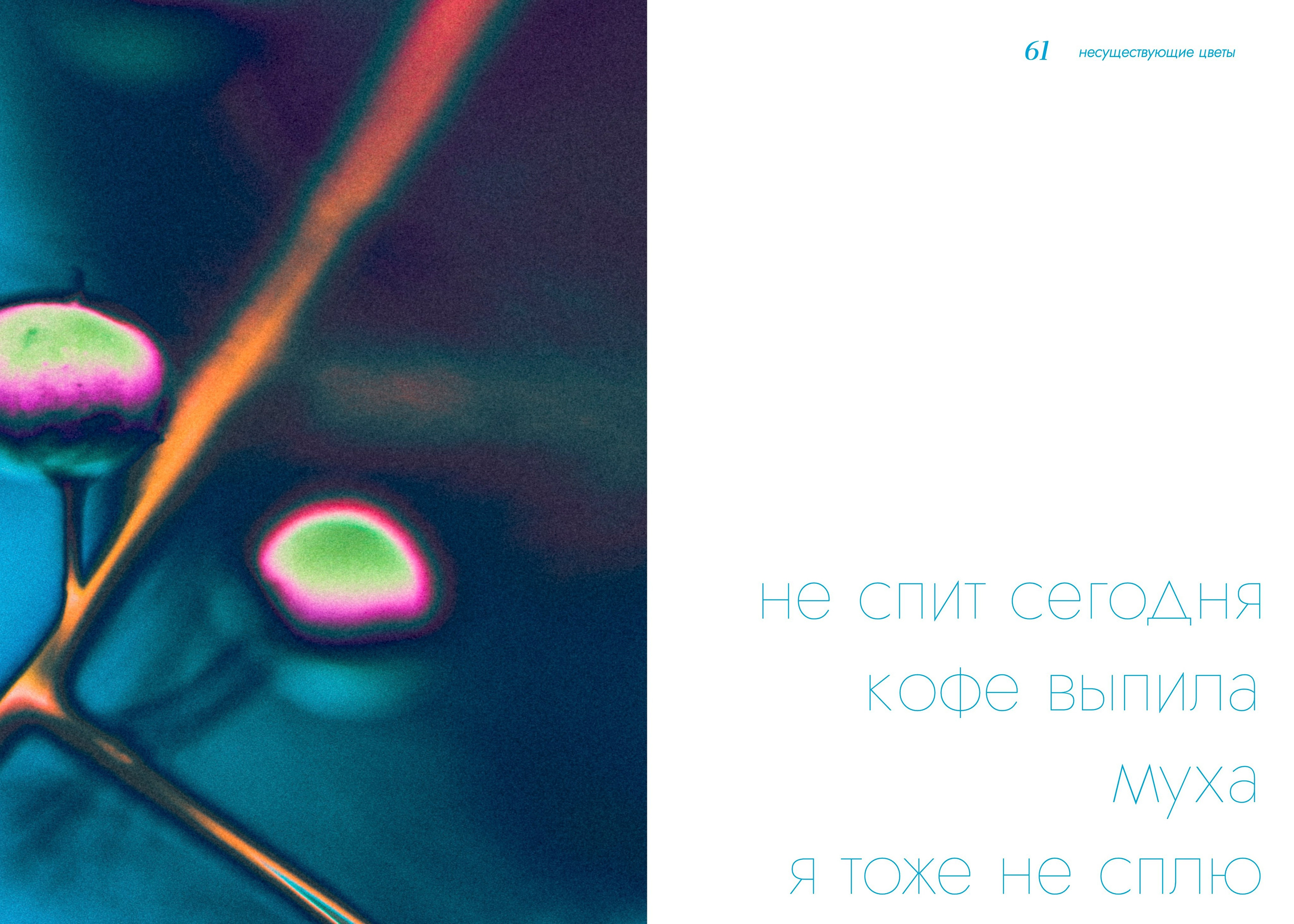 BOOK ART. Фотограф Евгений Чащихин RGB АРХИТЕКТОР в Перми