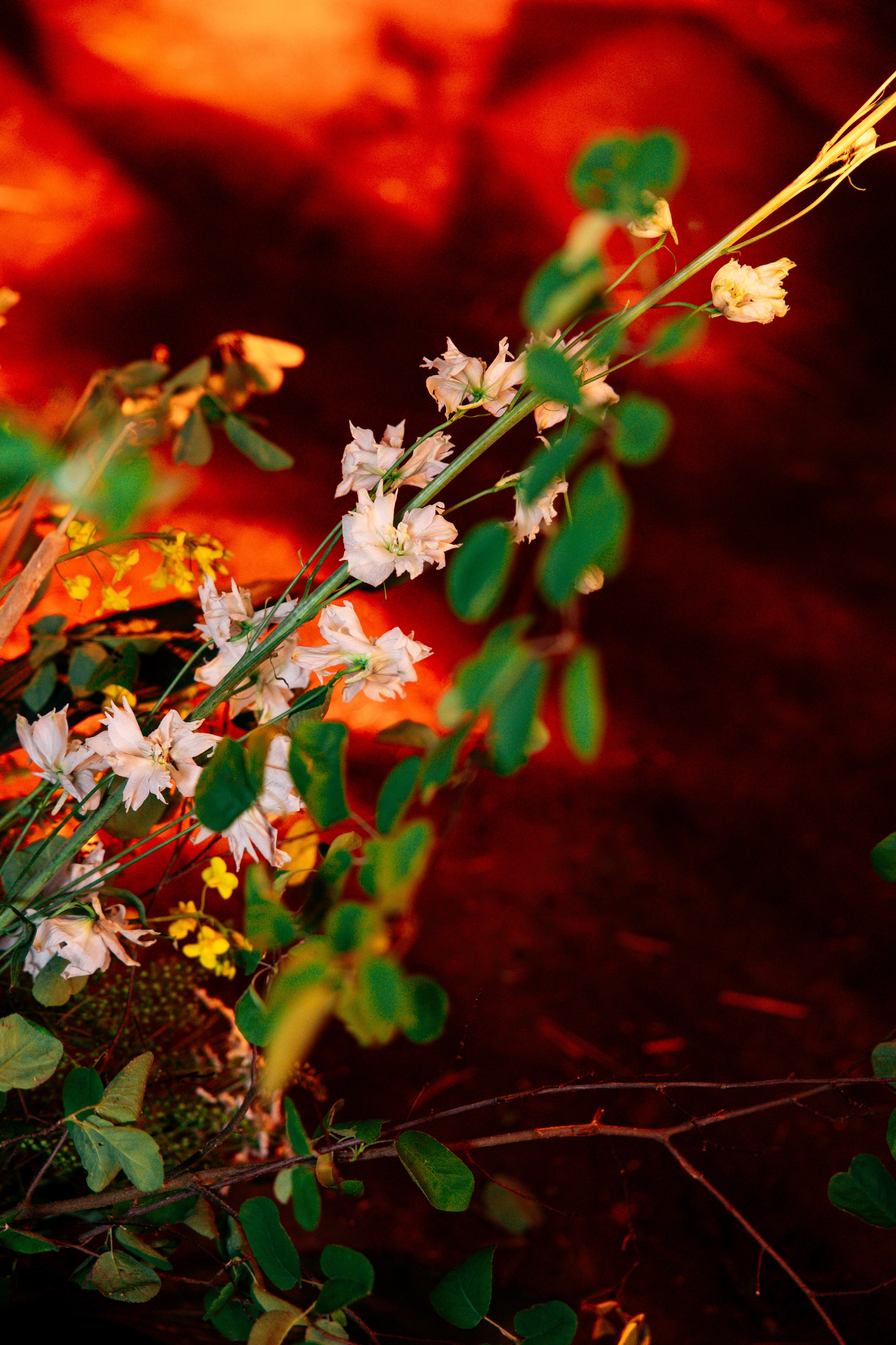 ХОЛОП -тематический праздник. Свадебный фотограф Минск РБ