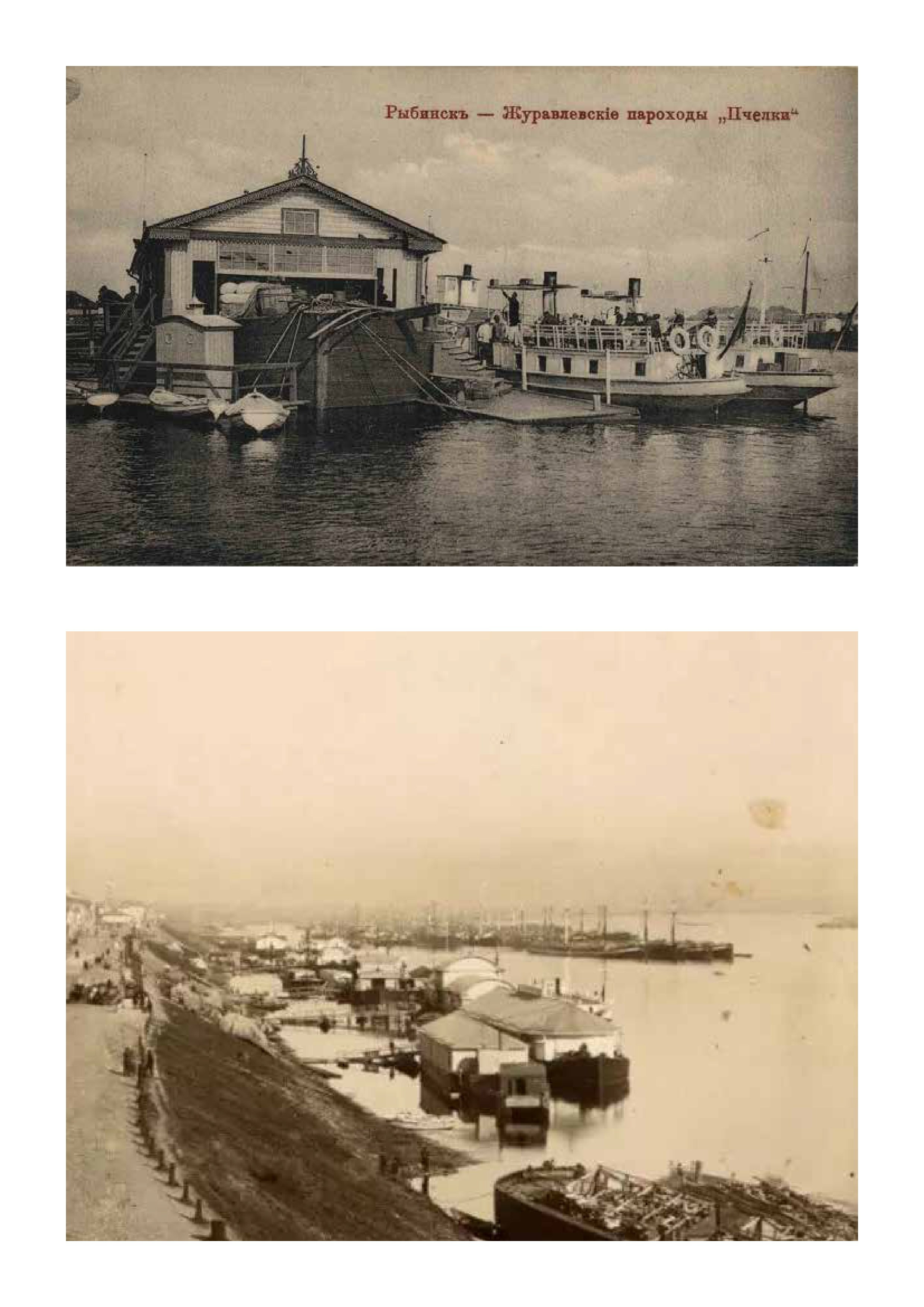 Рыбинская Акватория