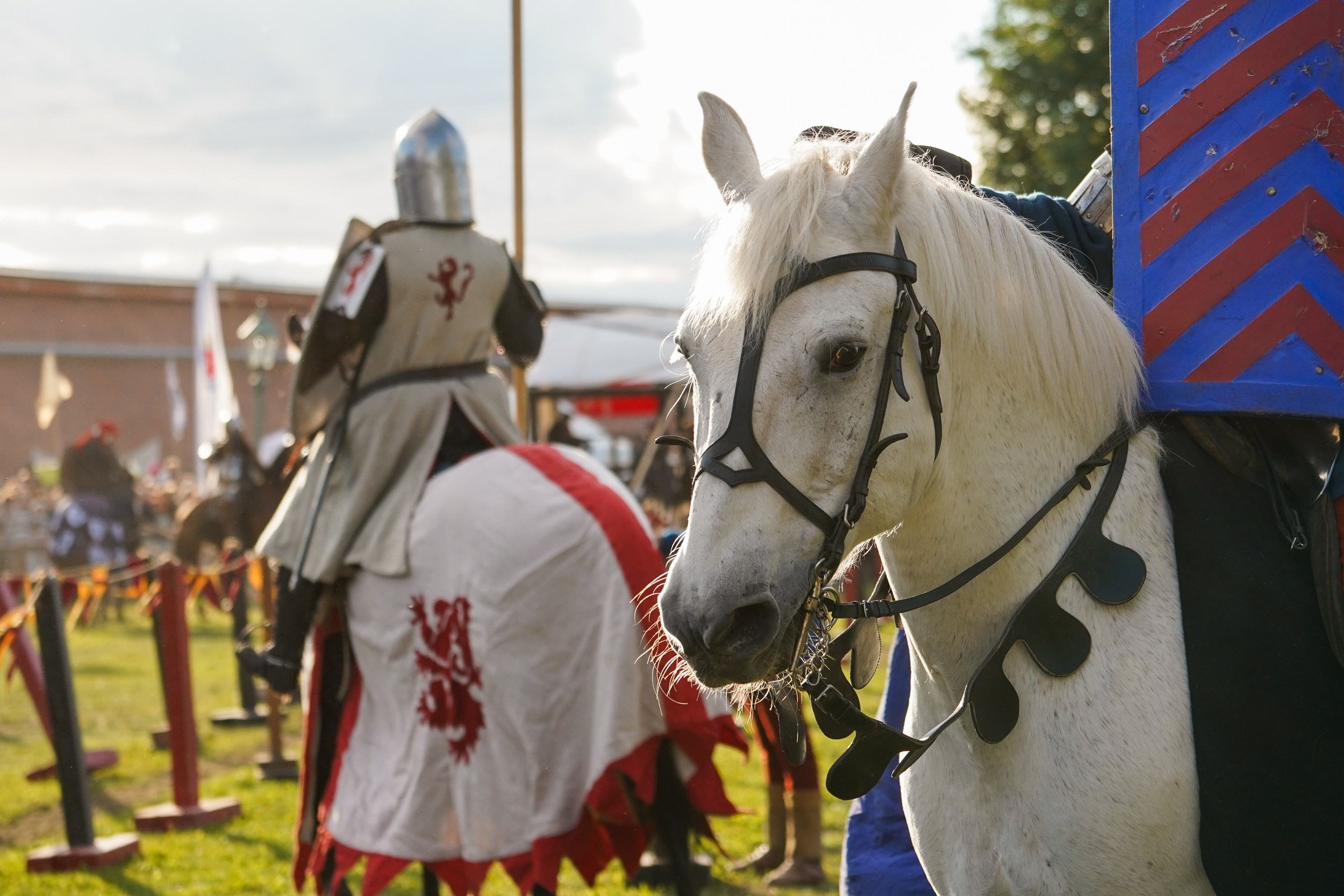 Рыцарский турнир в рамках фестиваля «Битва на Неве» Санкт-Петербург 2024 г. Фотограф-анималист, портретный фотограф в Чебоксарах Мария Садыкова