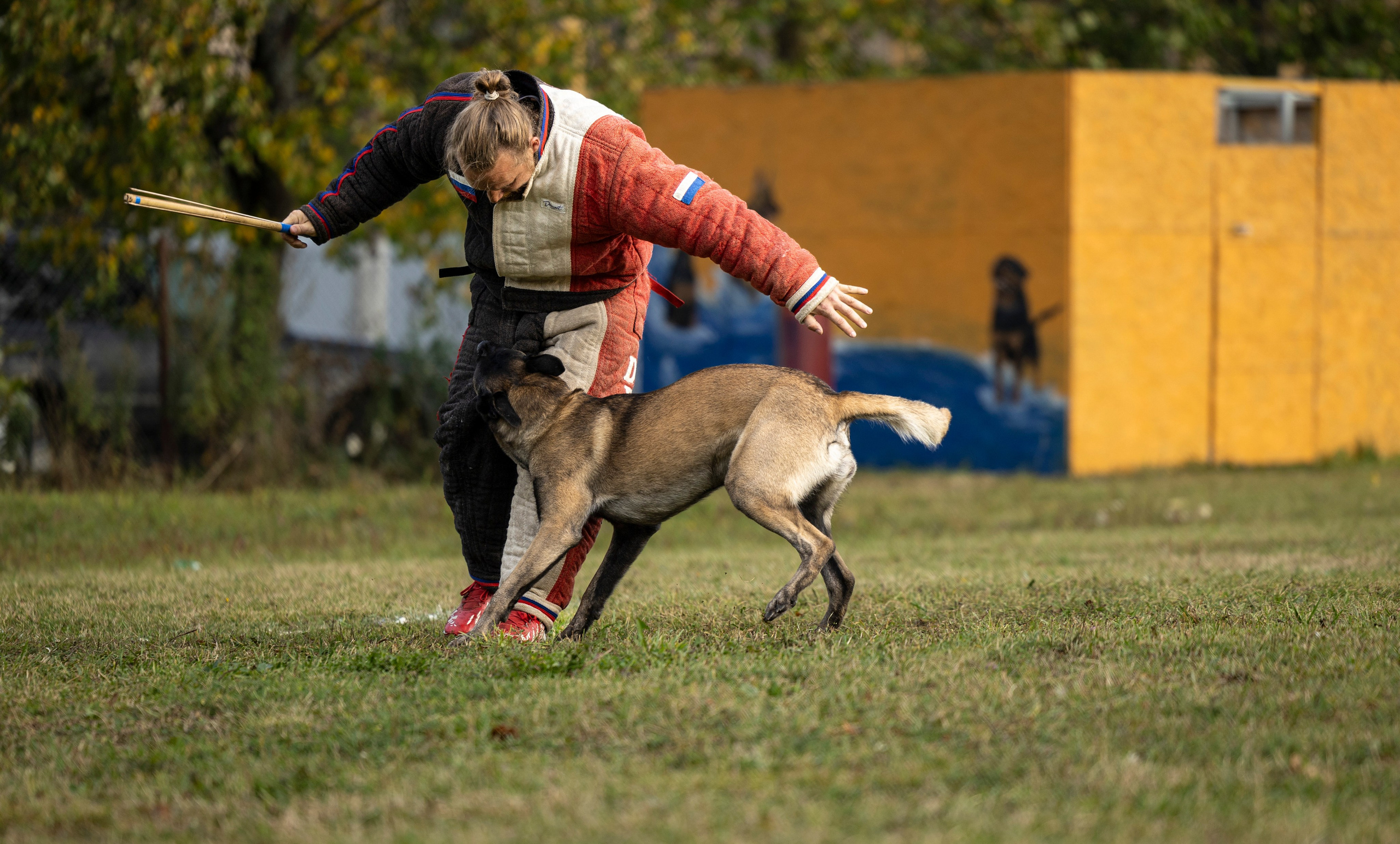 Испытания по Мондьорингу г. Пушкин. Фотограф-анималист Анна Маринич