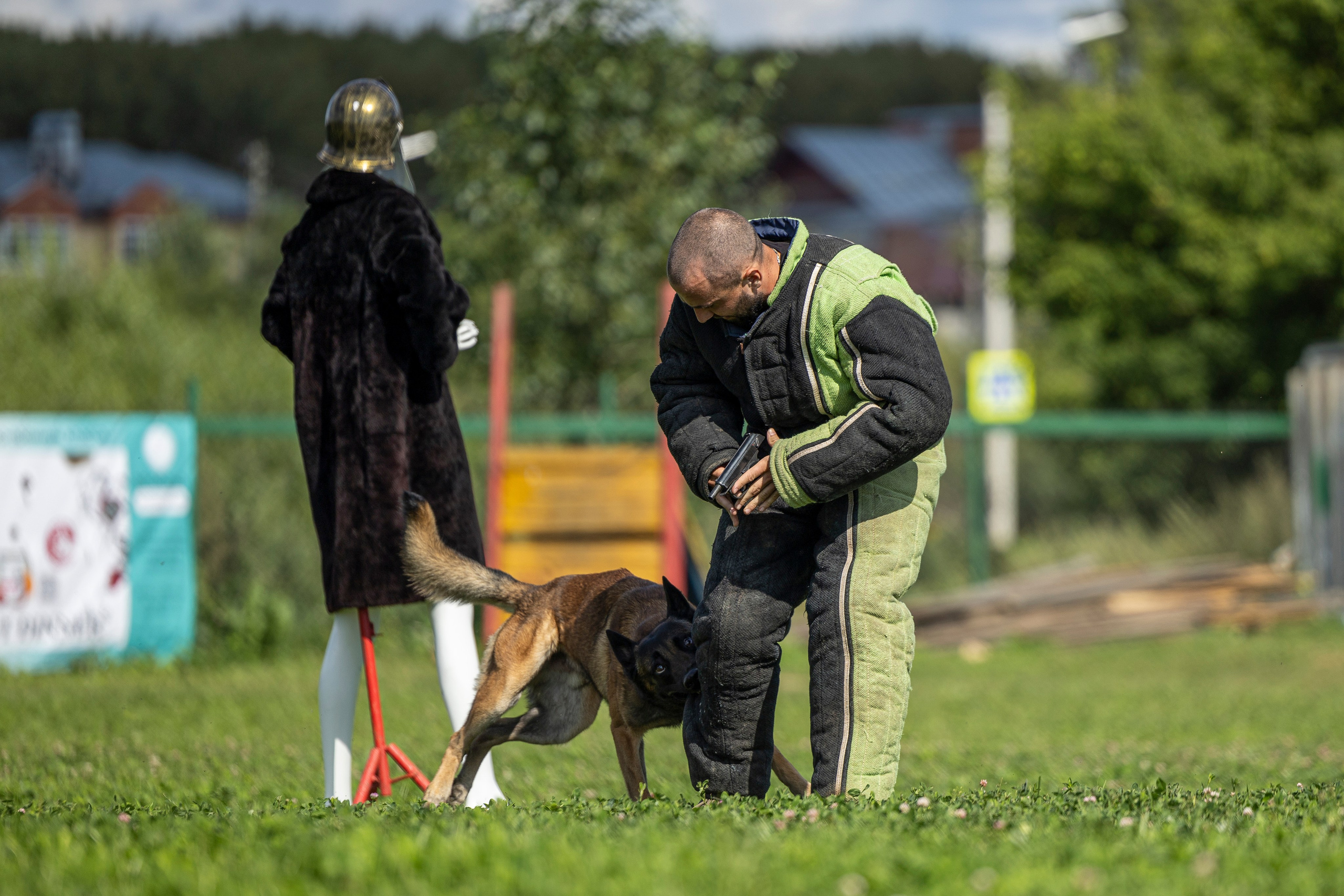 Соревнования по Мондьорингу г. Вологда 10-11.08.2024. Фотограф-анималист Анна Маринич