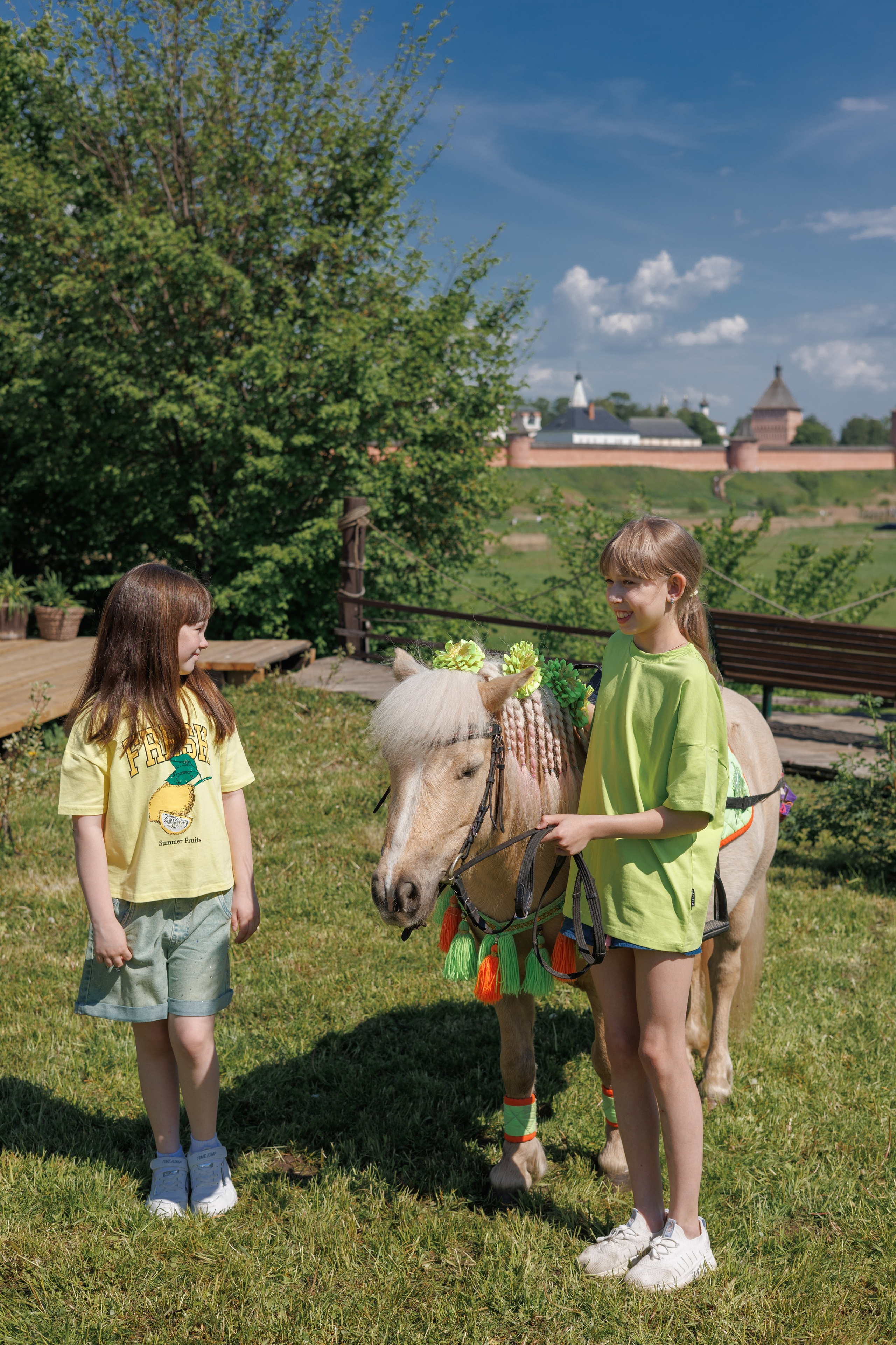 День рождения в Суздале