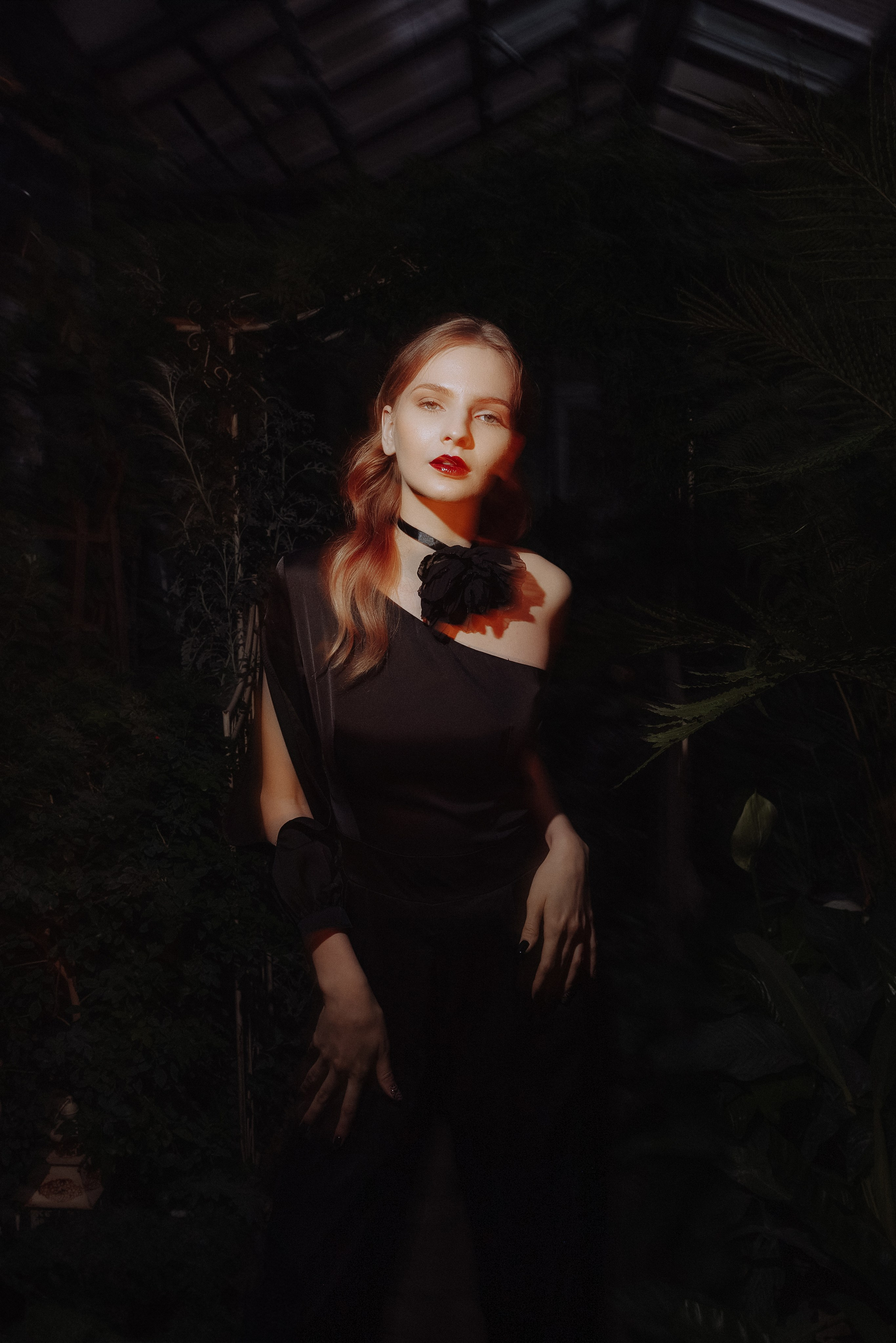 Оранжерея. Каплицкая Любовь — фотограф Тверь