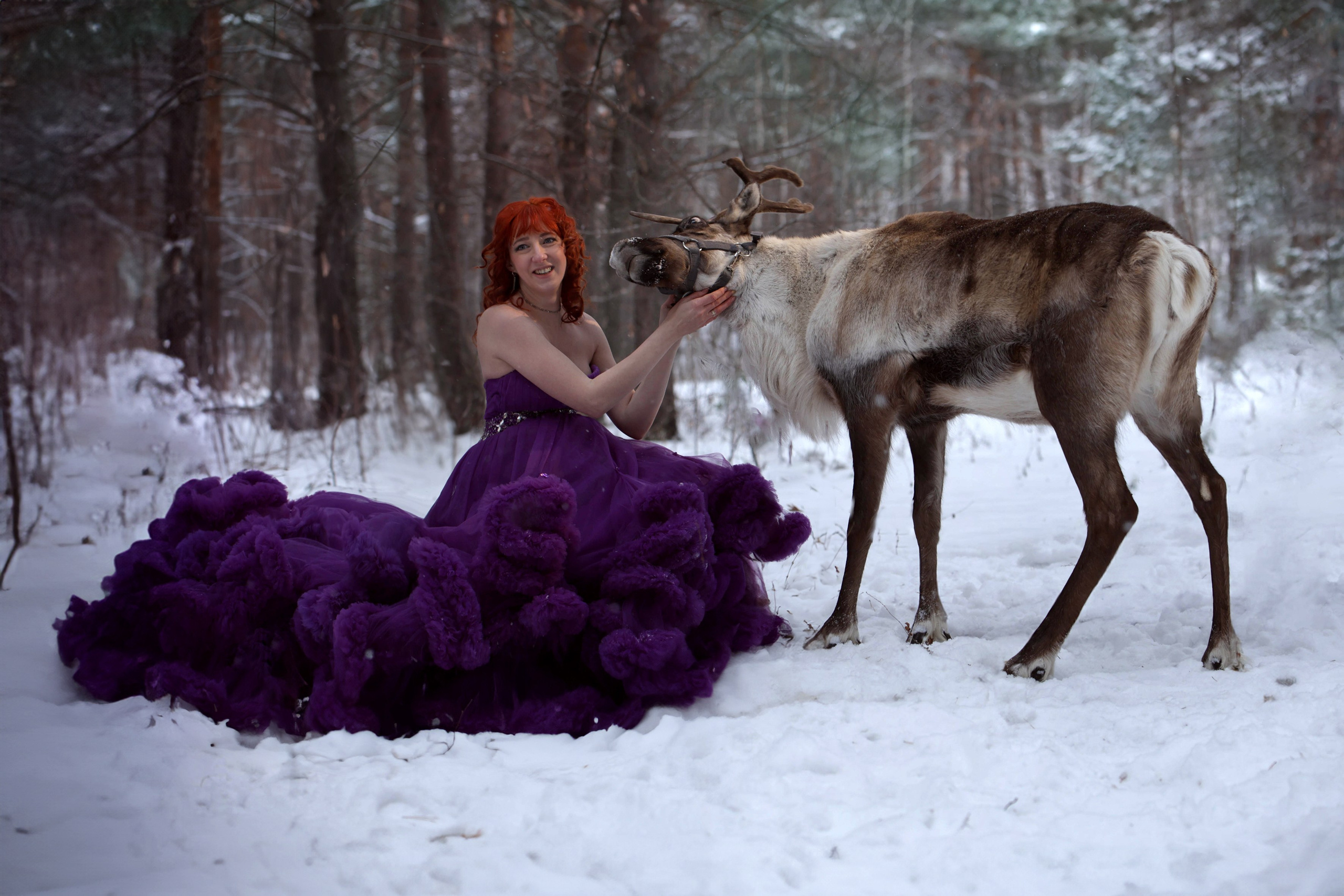 Олениха Нося 2024. Конный фотограф в Красноярске — Любовь Похабова