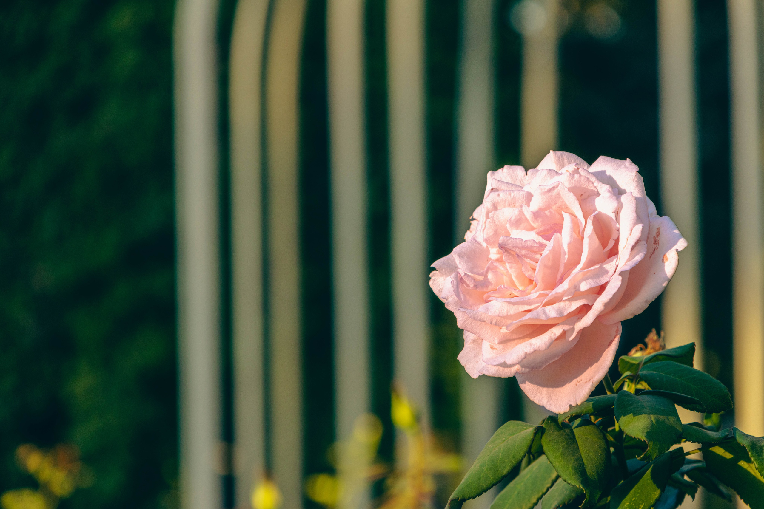 Парк Горького. Jean De Vivre Gallery