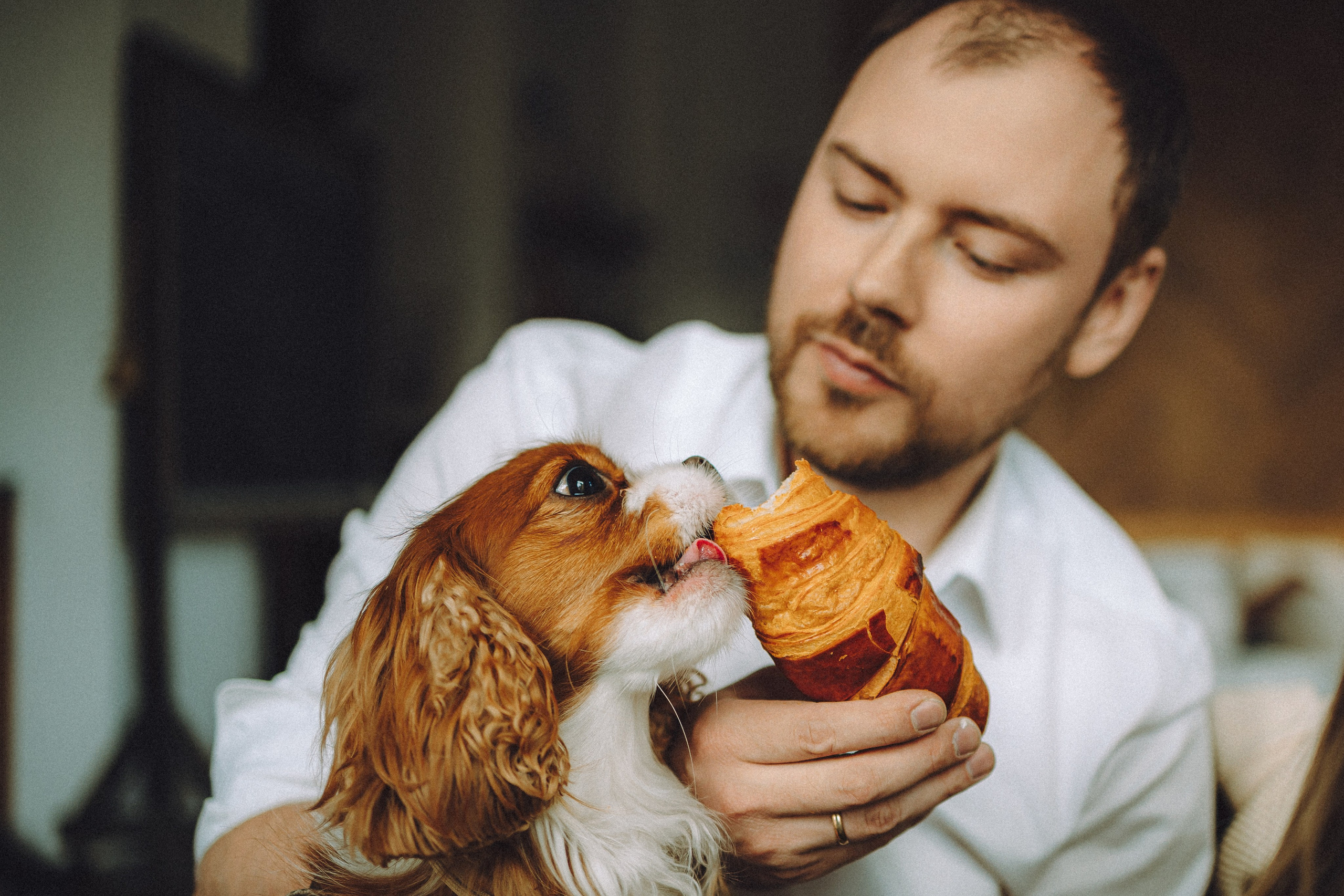 Валя, Вася, Аня и Ириска