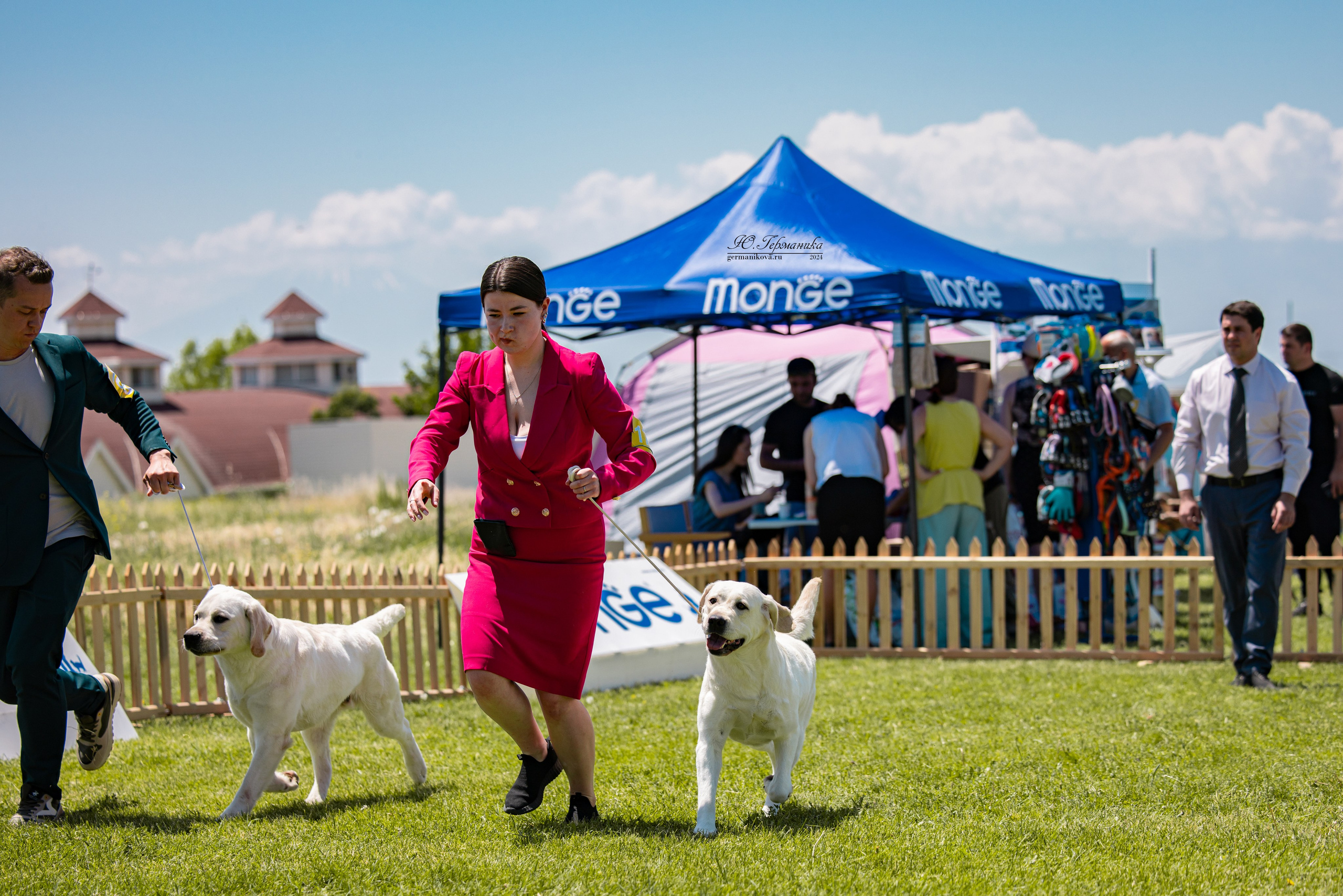 Ереван 3-5.06.2024. Фотограф-анималист Юлия Германика