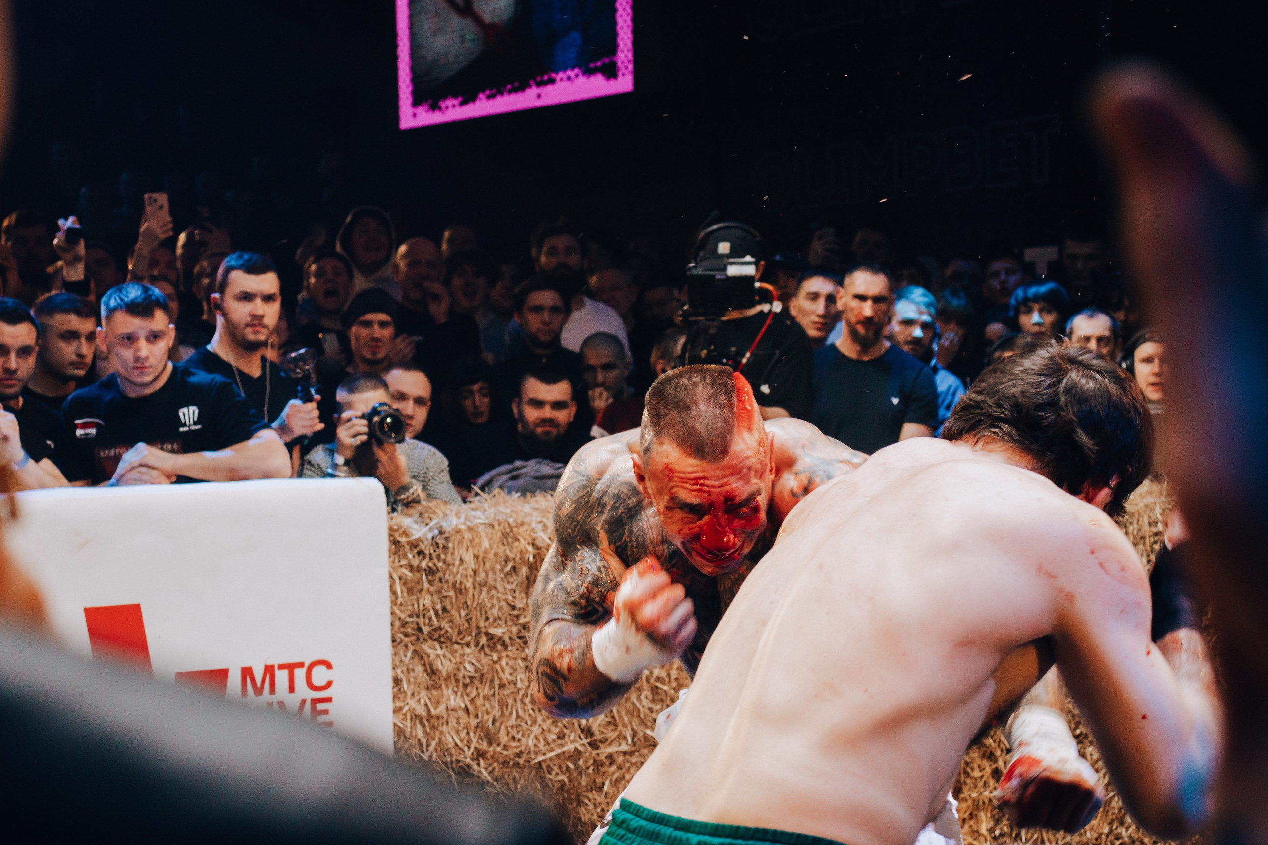 Кулачные бои TopDog. Анастасия Тен