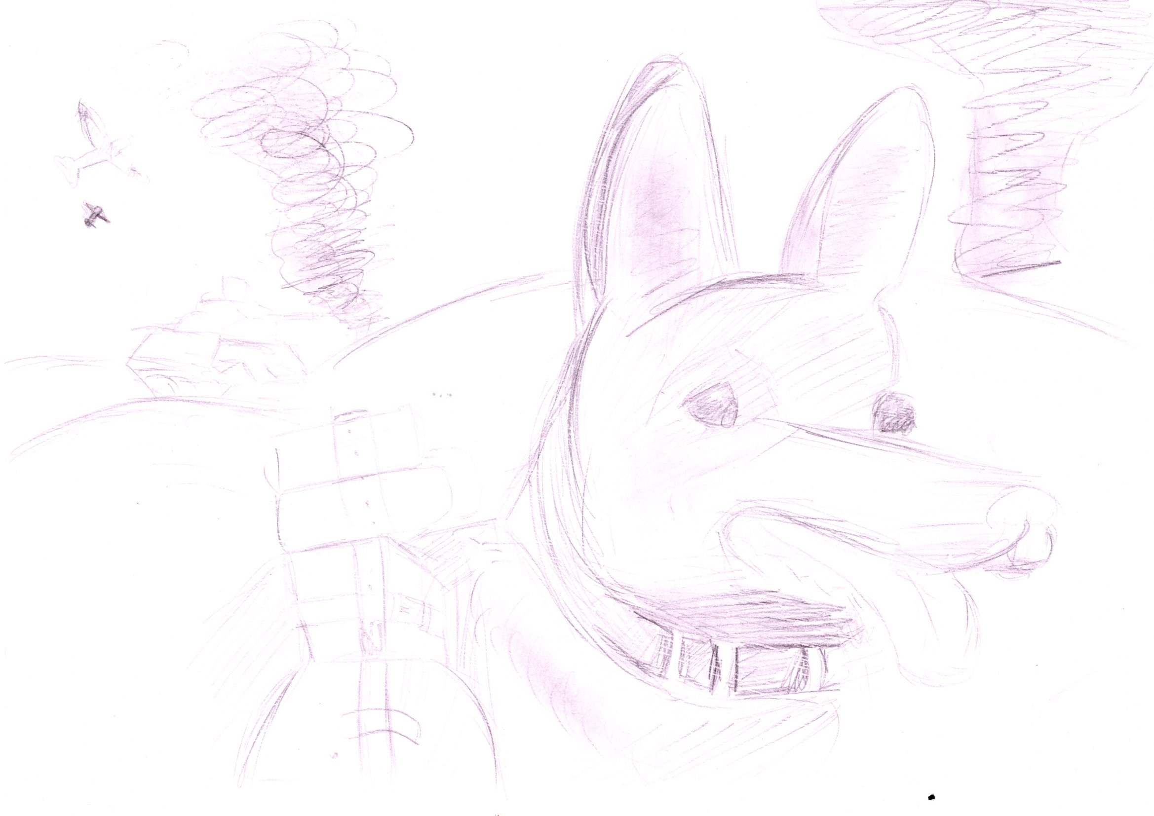 Мероприятия для юных кинологов — «Помним их имена», «Портрет фронтовой собаки». НРОО КЦ "Собаковод"