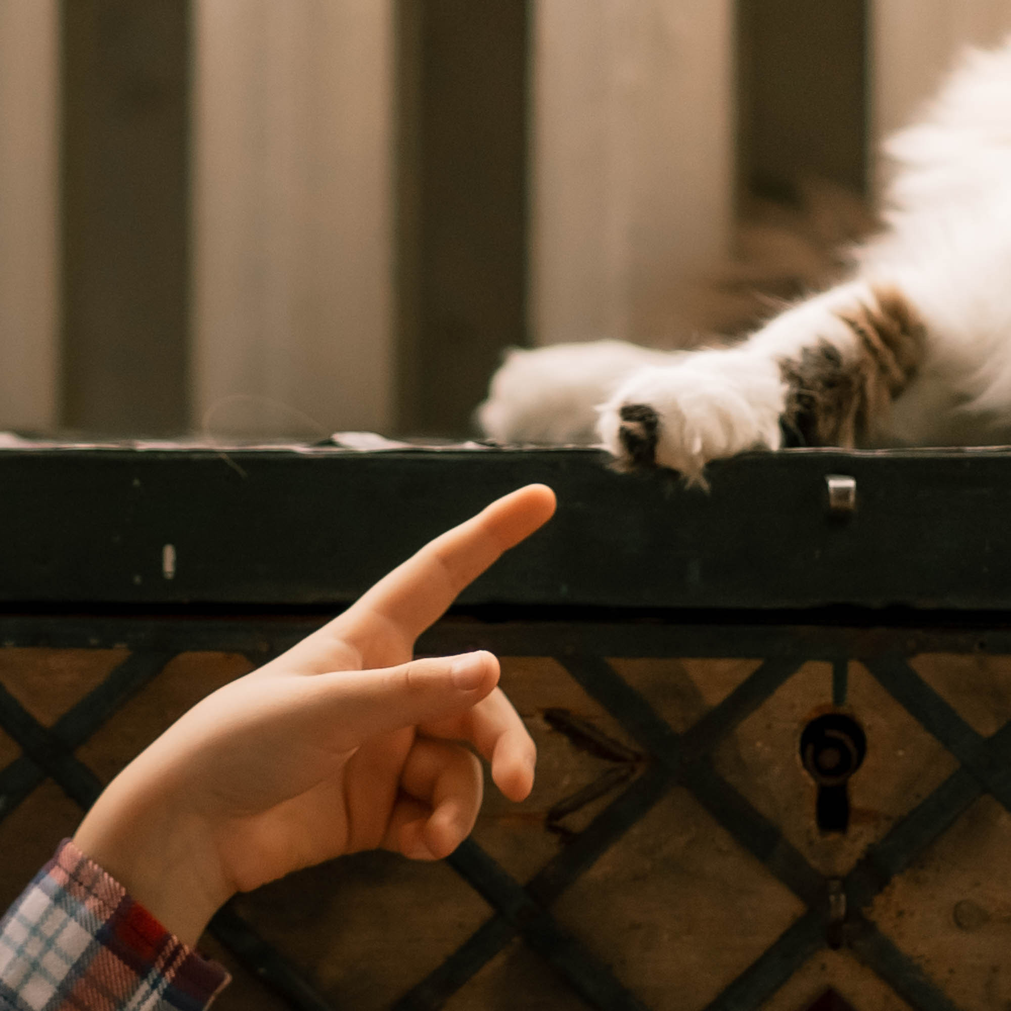 Истории съемок