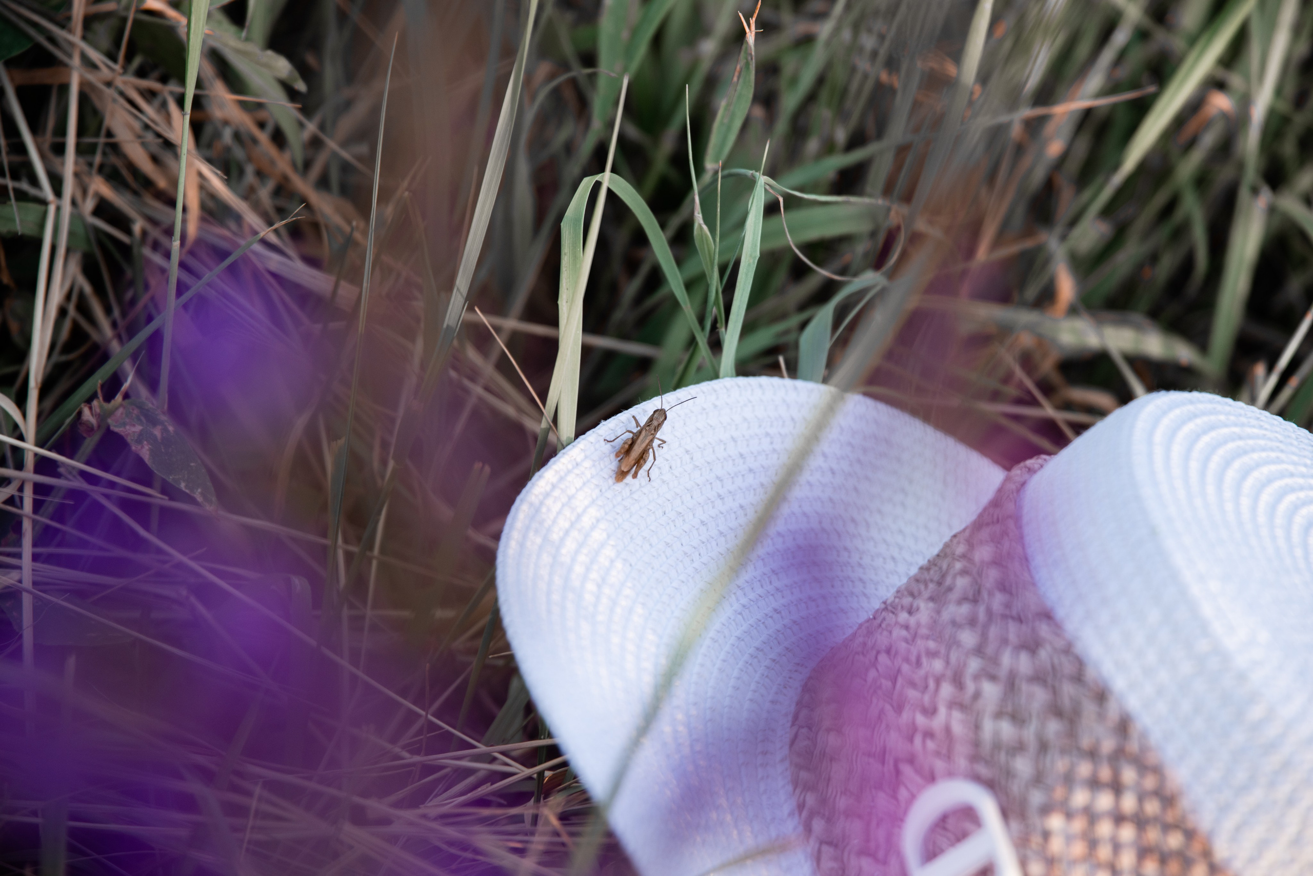 Семейные. Фотограф Светлана Воронцова