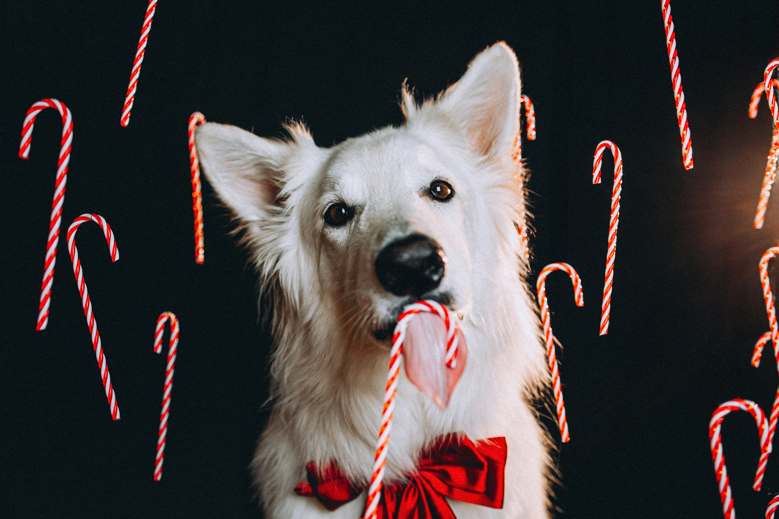 Джек, Бет и Кову