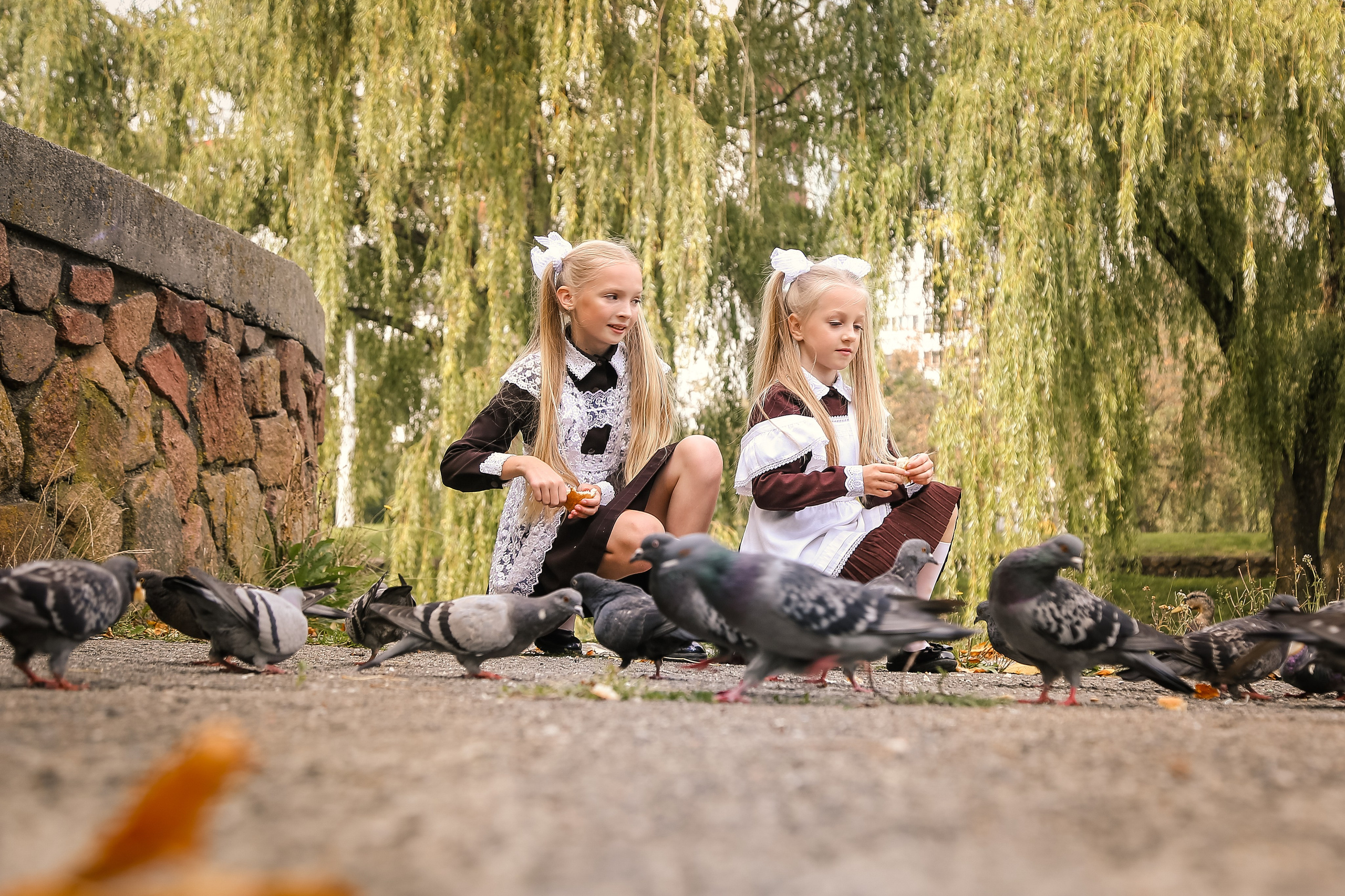 Школьницы. Фотограф Гавриленко Светлана