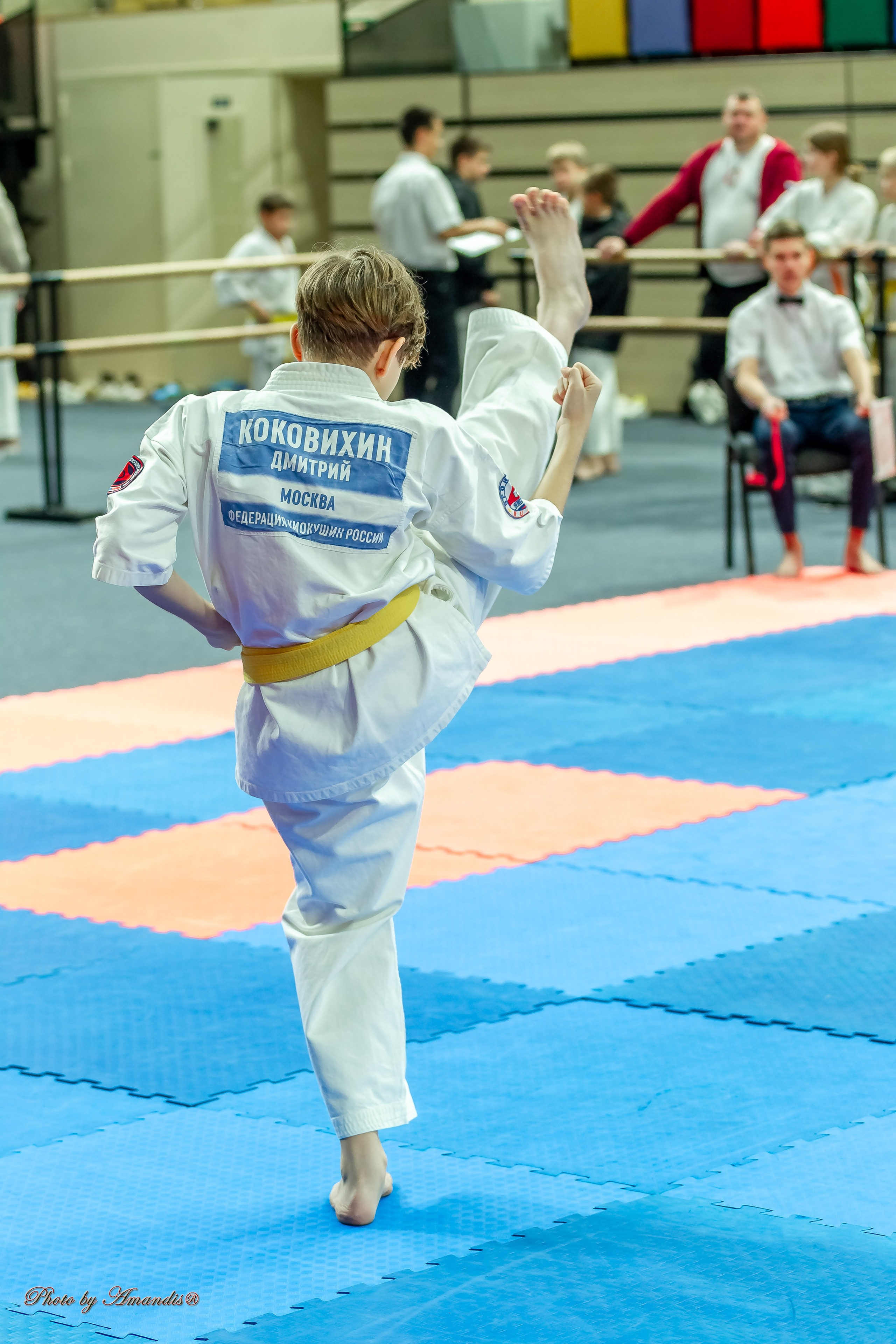 Первенство Московской области по Киокушин в СК «Жаворонки». Репортажная съемка в Москве и области. Анималистика