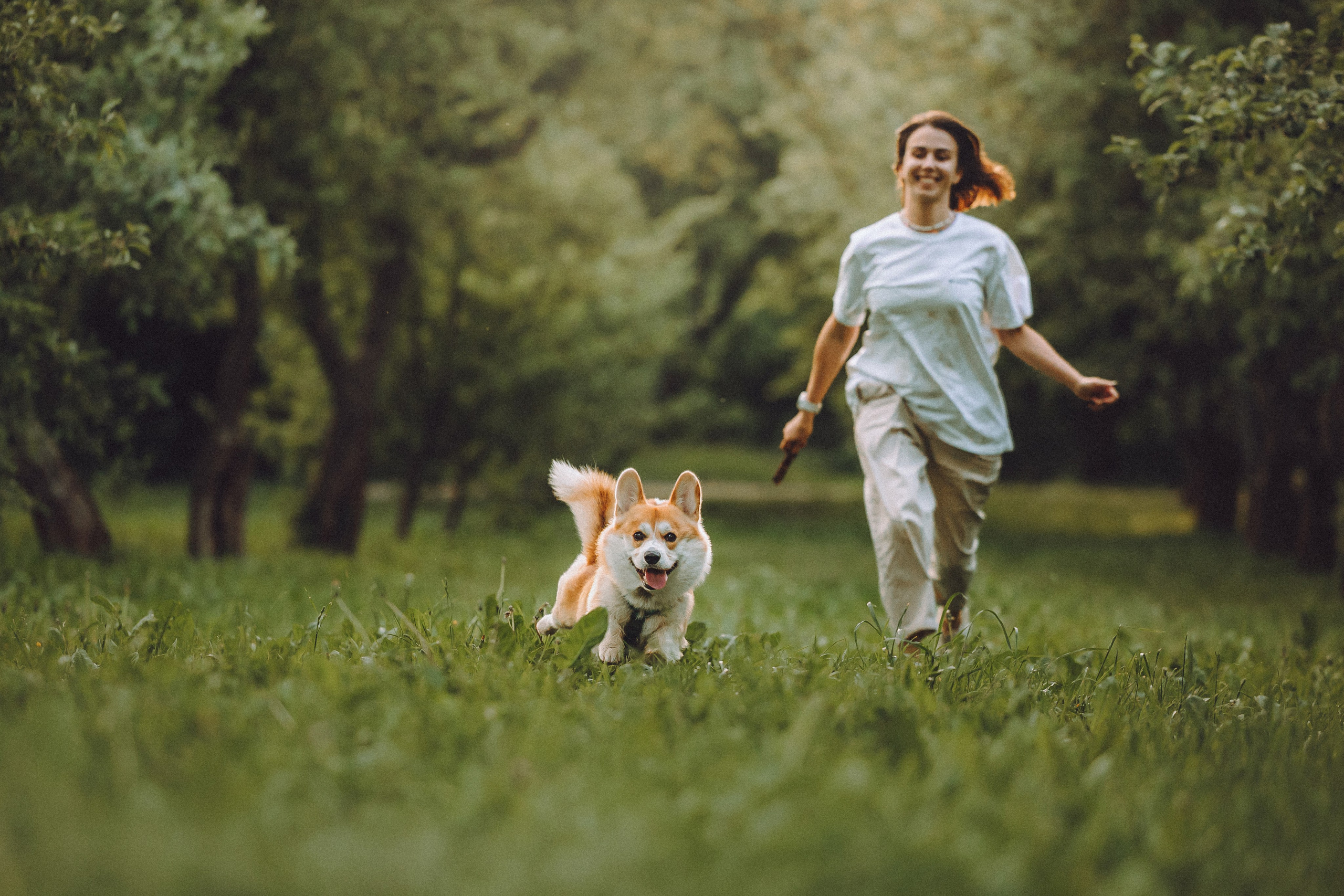 Вирджик и его семья