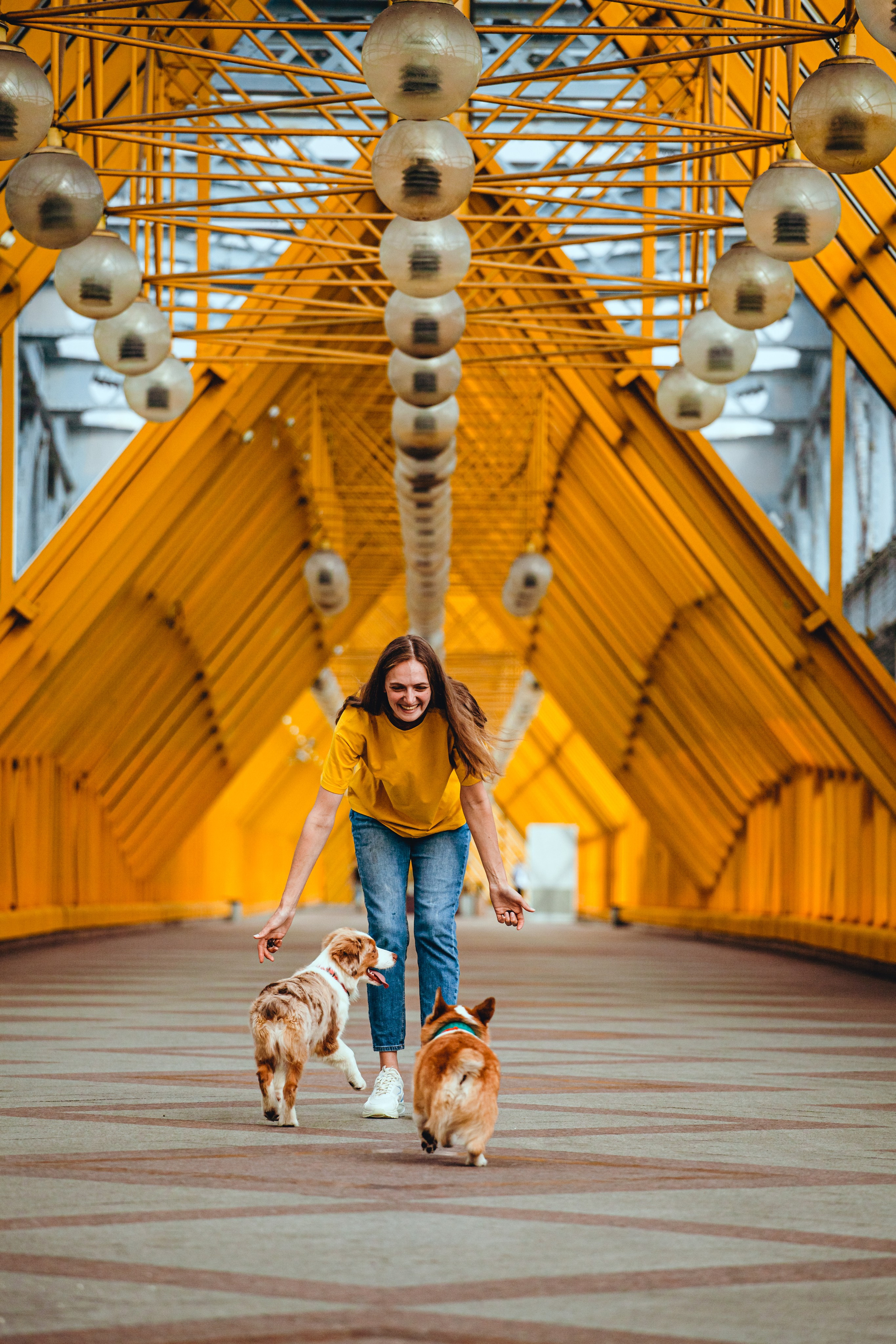 Андреевский мост. Фотограф-анималист Татьяна Степанова