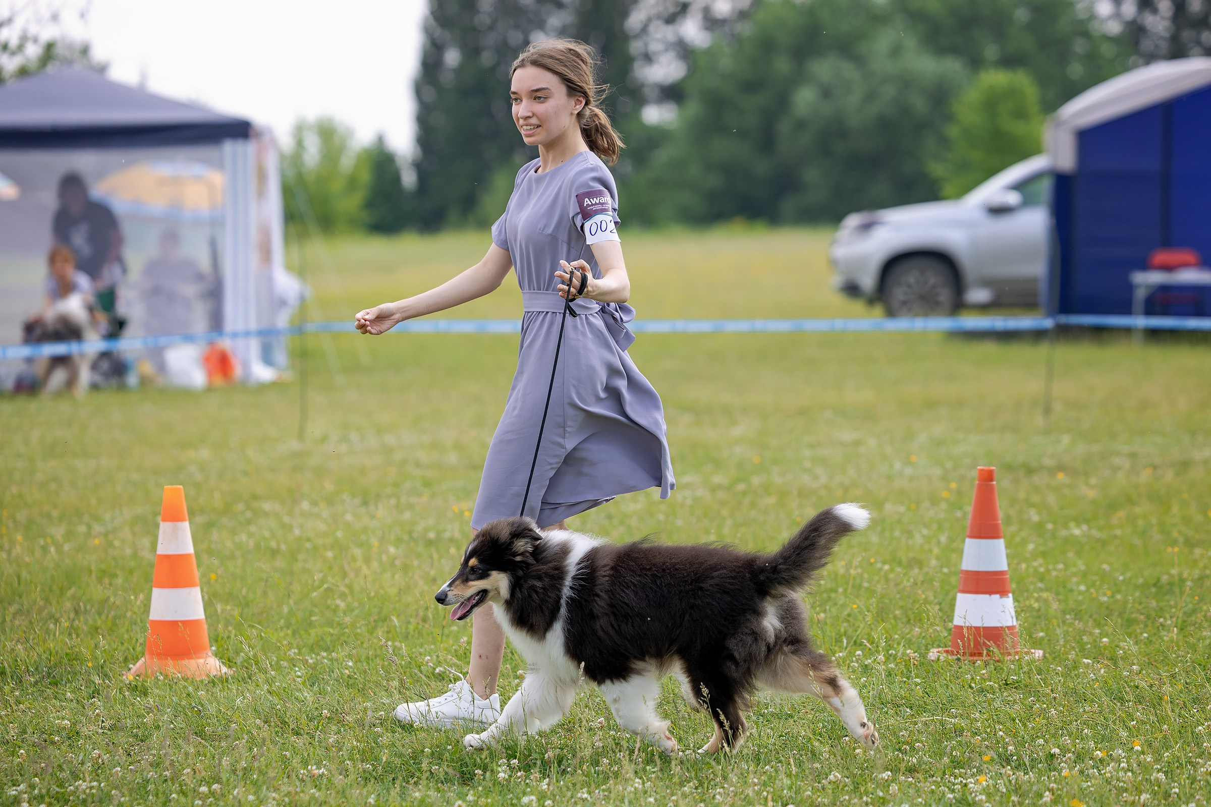 12 июня 2025, Выставка РКФ, Пермский край. Htykk_photo