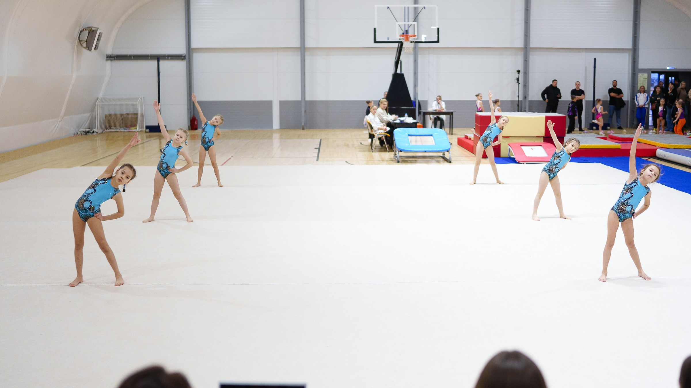 Гимнастика. Фотограф Москва